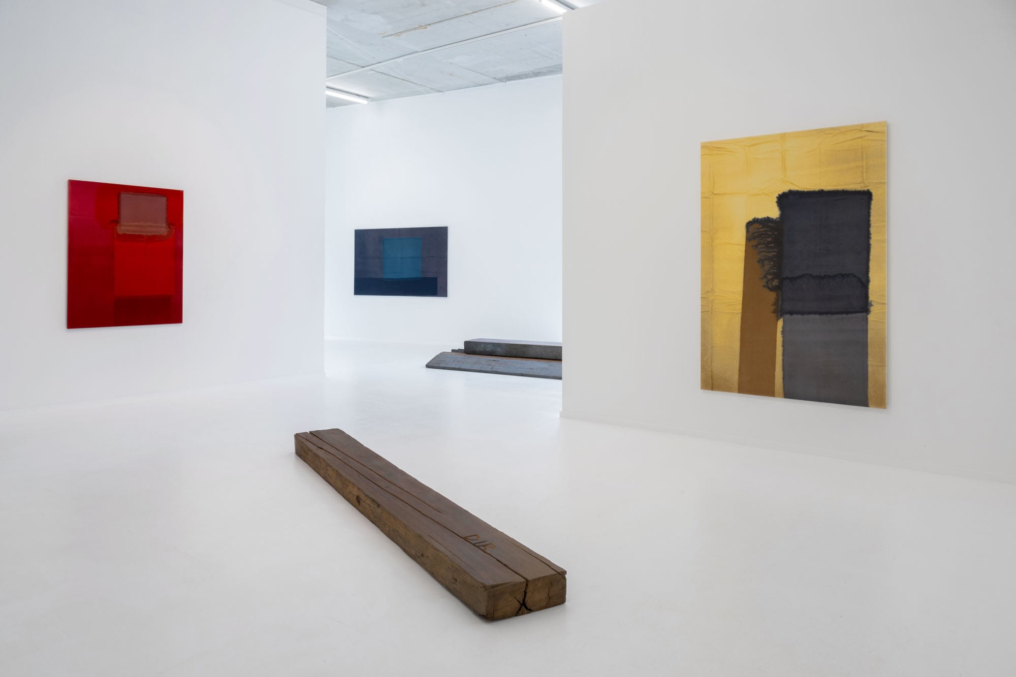 Voice-Calling-Echo-You