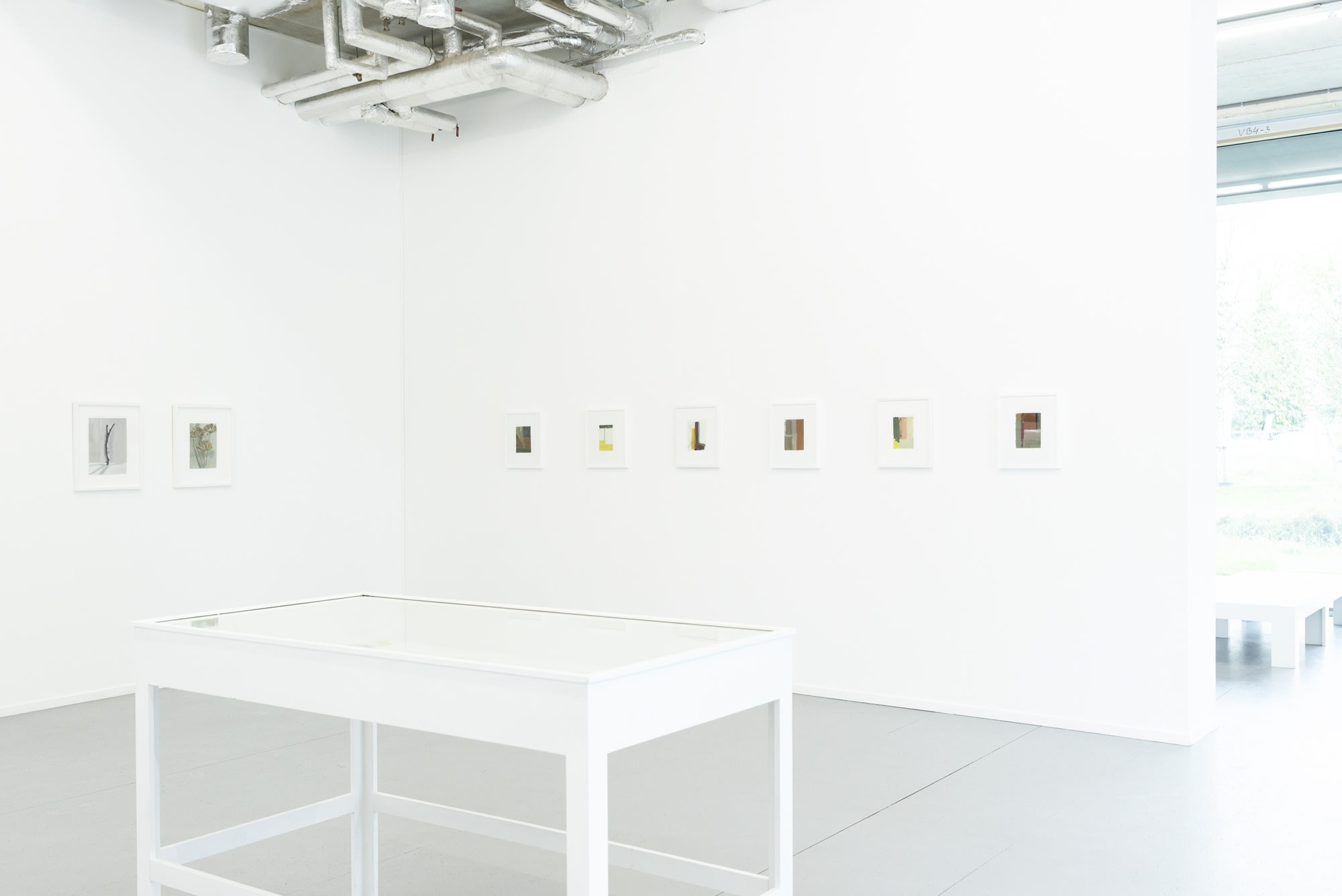 Ilse D'Hollander (extended)