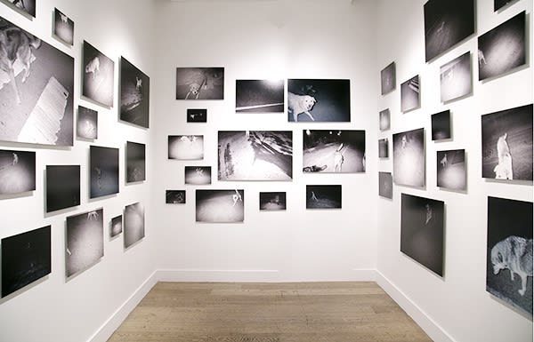 There is Another World