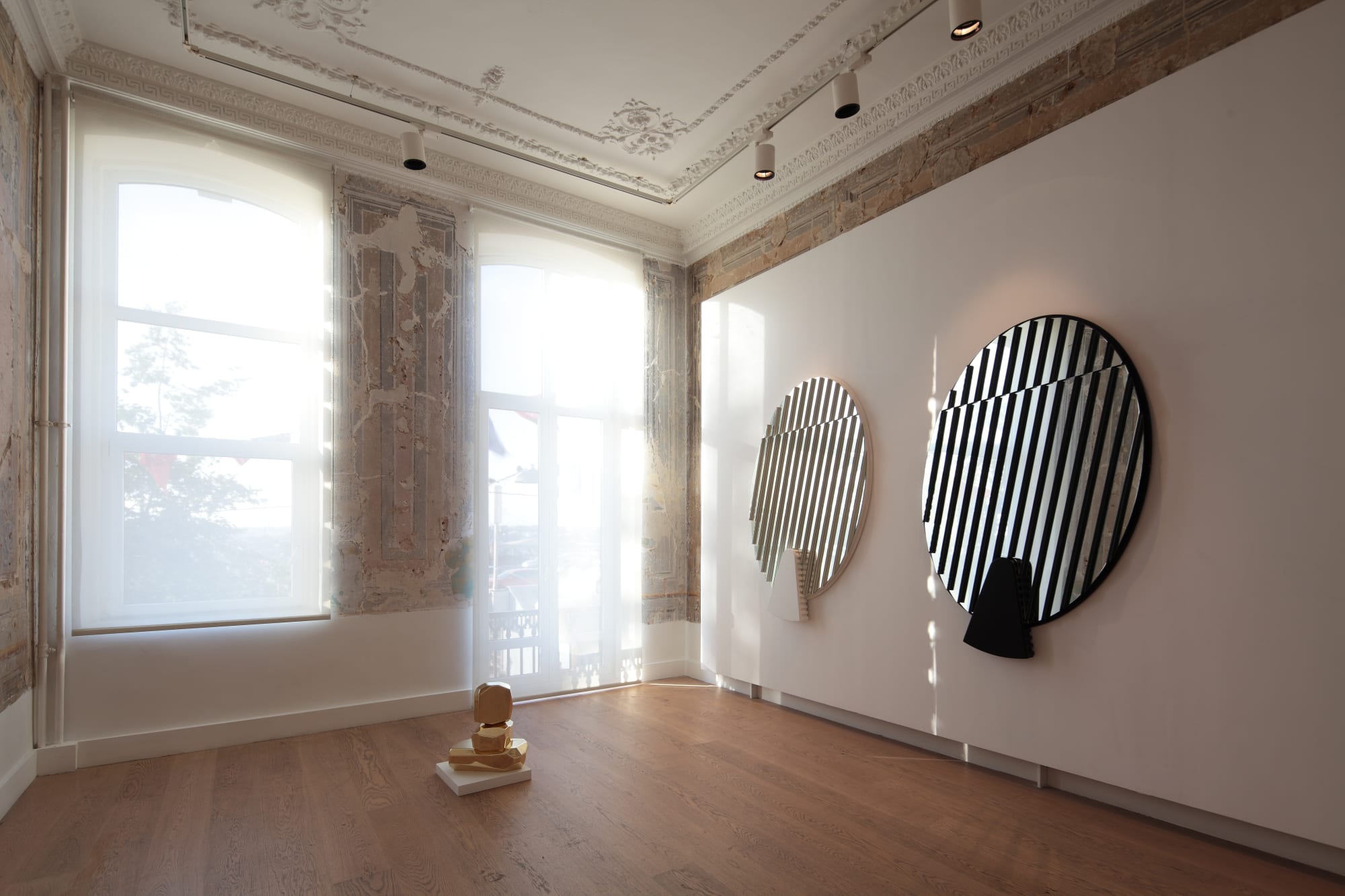 Le Jardin de la Spéculation Cosmique