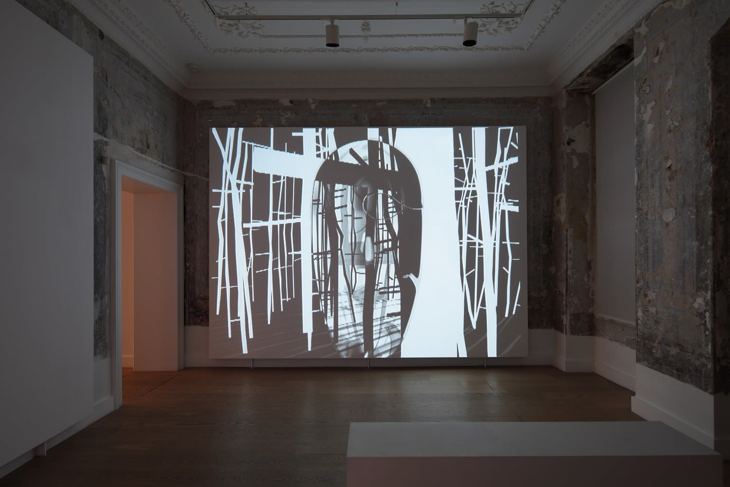 Le Jardin de la Spéculation Cosmique