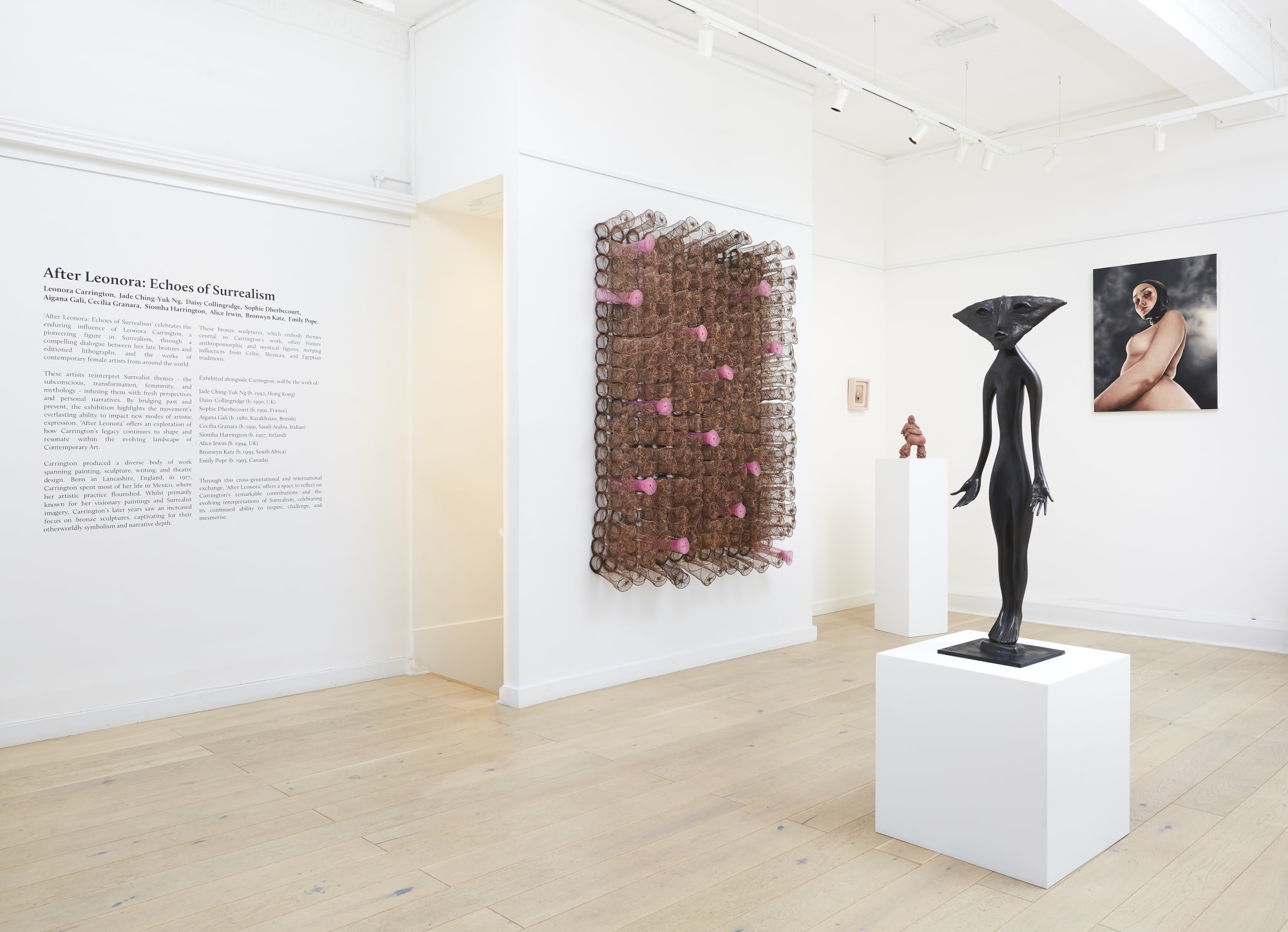 Photographer: Timothy Haccius