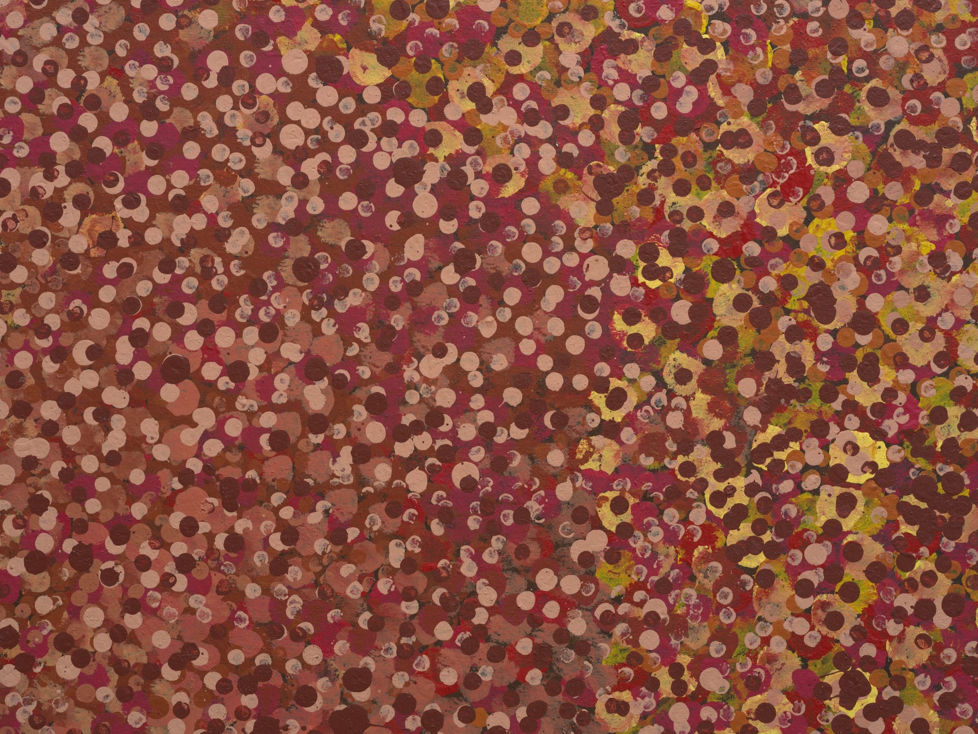 EMILY KAME KNGWARREYE