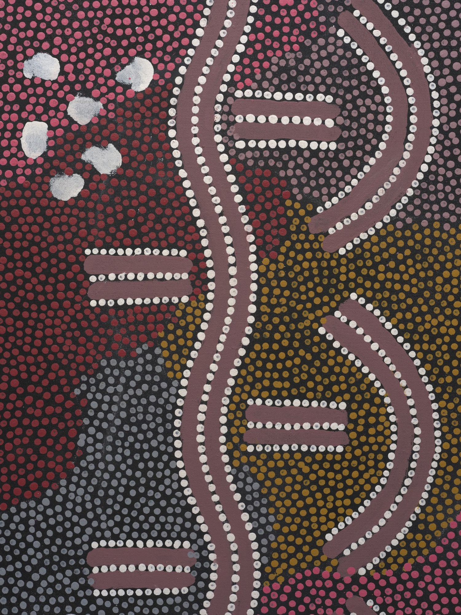 CLIFFORD POSSUM TJAPALTJARRI