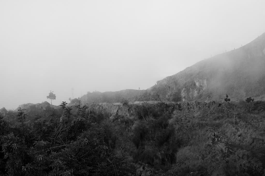 Group Show “ Botanical” of “Lotus” at Local Project Art Space in LIC, NY