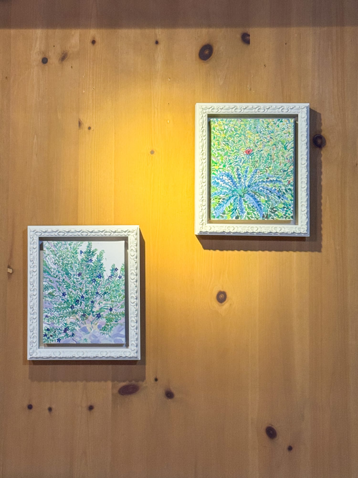 The Jeeum: A Beginning of More Connections