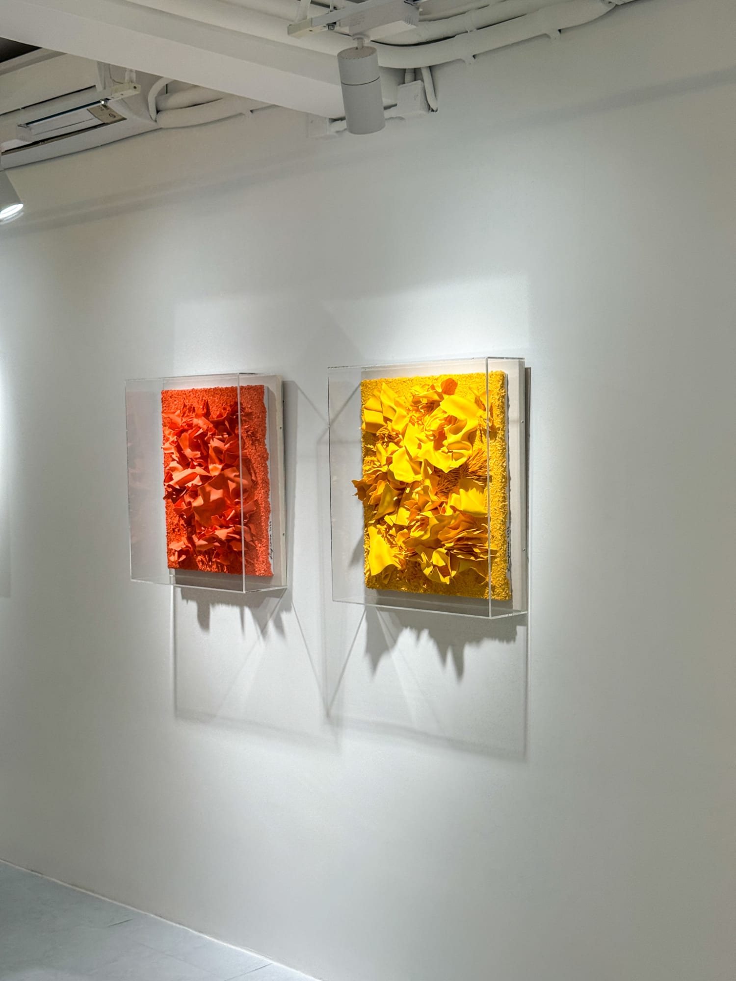 The Jeeum: A Beginning of More Connections