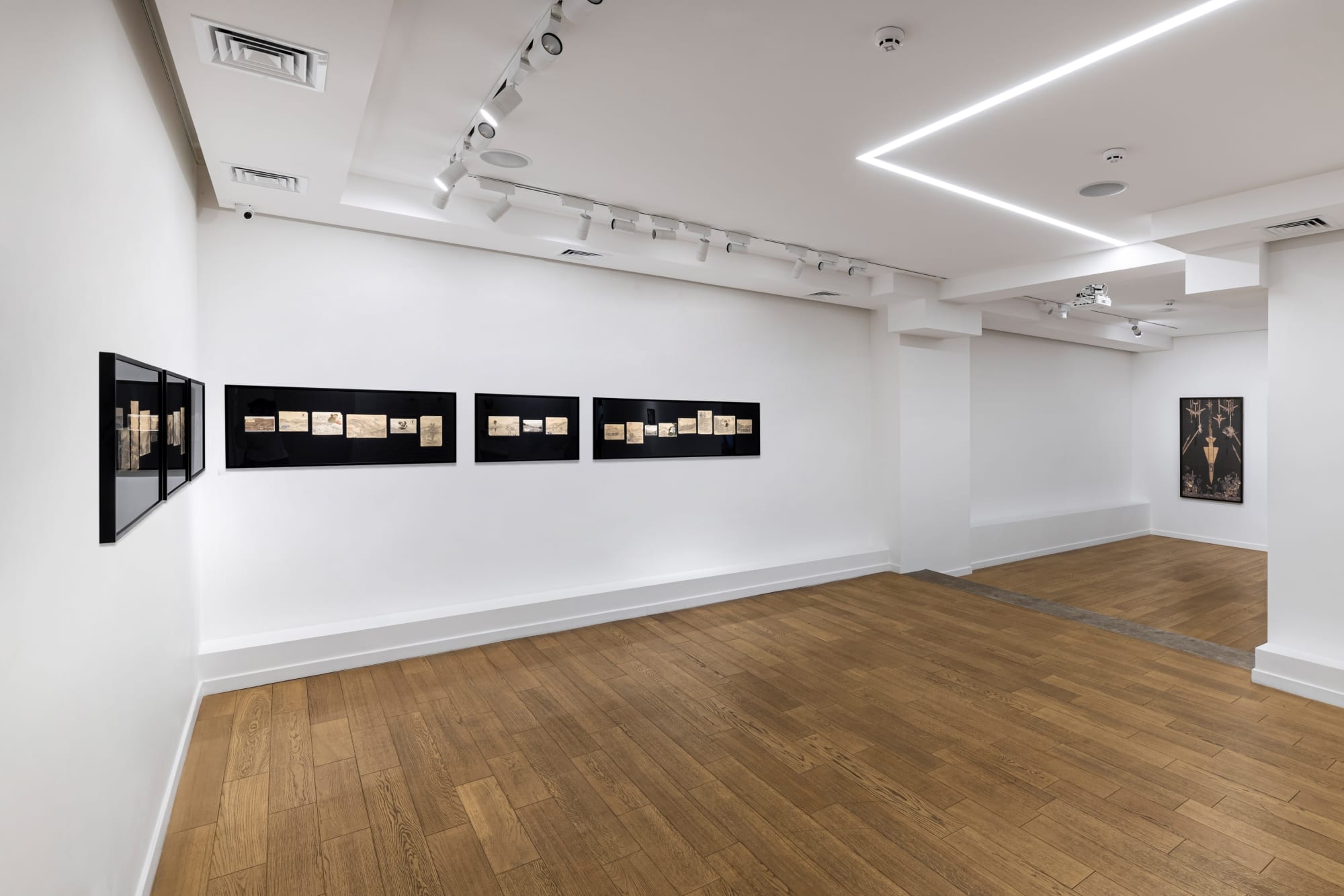 Let the Dream Follow the Night