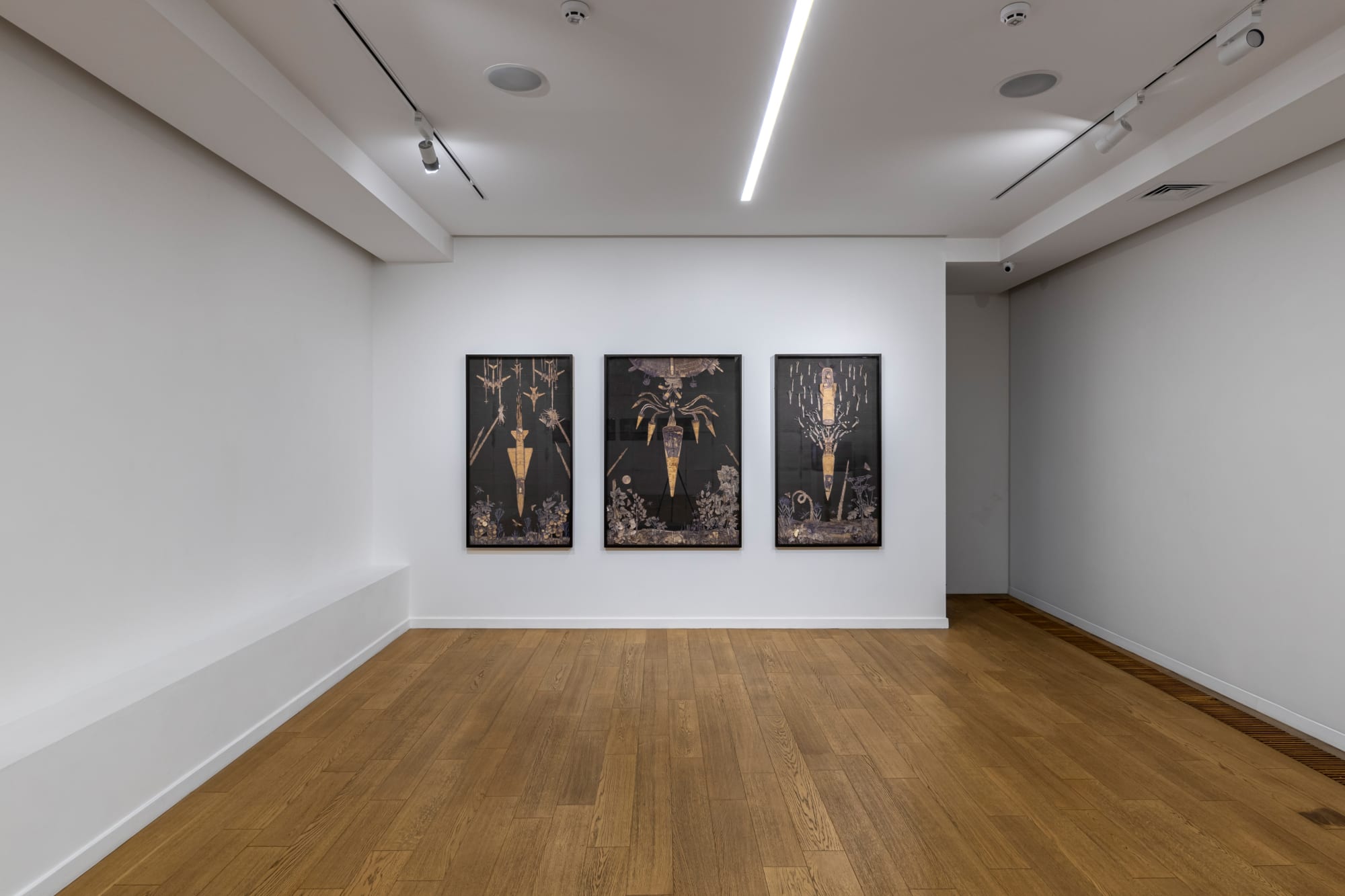 Let the Dream Follow the Night