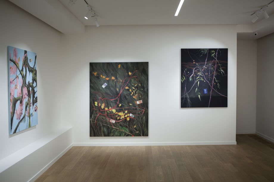 ЄВГЕН САМБОРСЬКИЙ | СЕ 049201