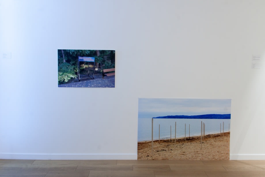 Трансмімезис: емпатія до потворного