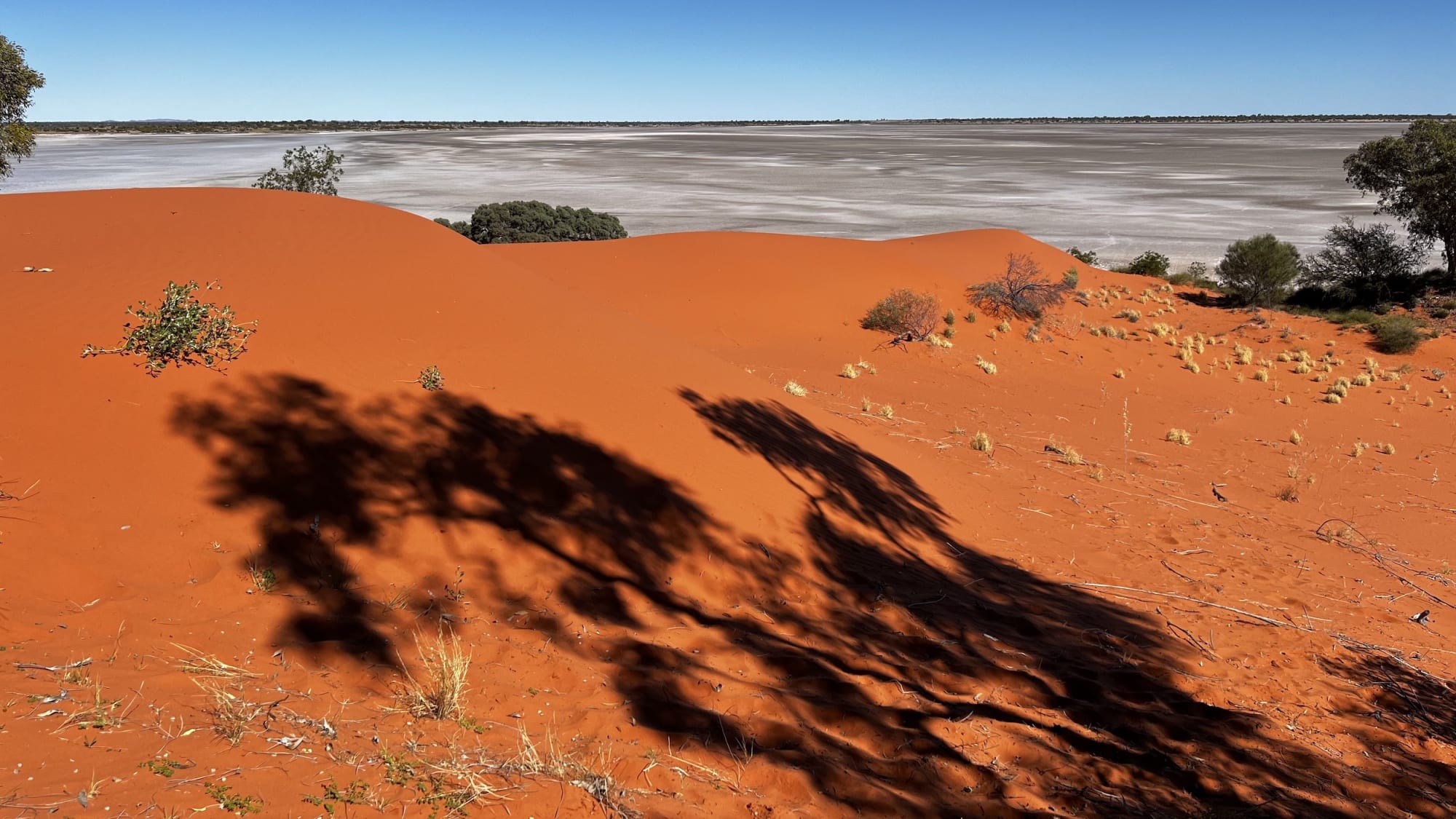 SIX ARTISTS | SEVEN DAYS: DEFIANCE + AUSTRALIAN WILDLIFE CONSERVANCY