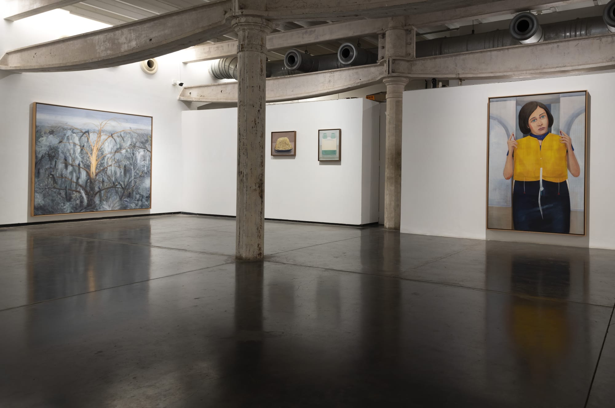 A Butterfly in Amazon