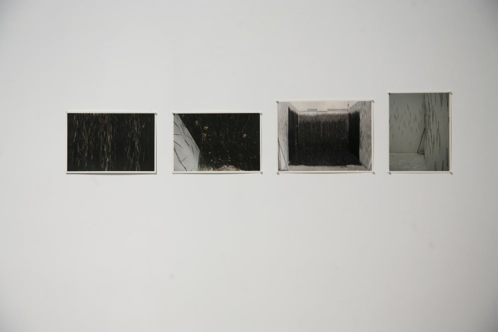 The Hangover of Agarlum