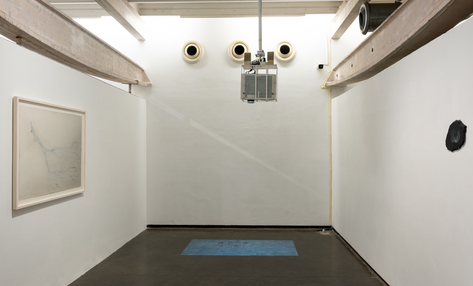 Where should the birds fly after the last sky ?