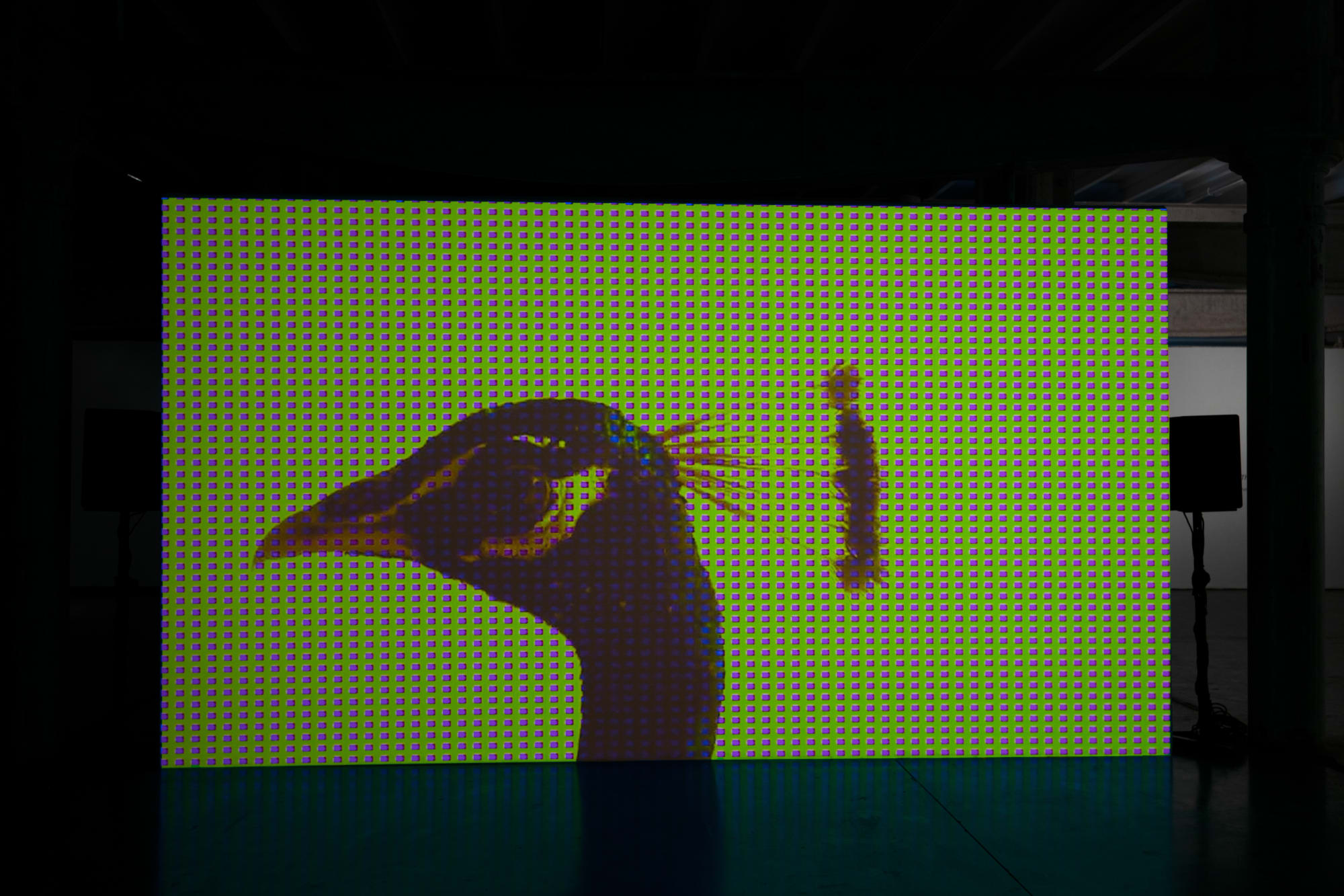 The Heart of the Heart