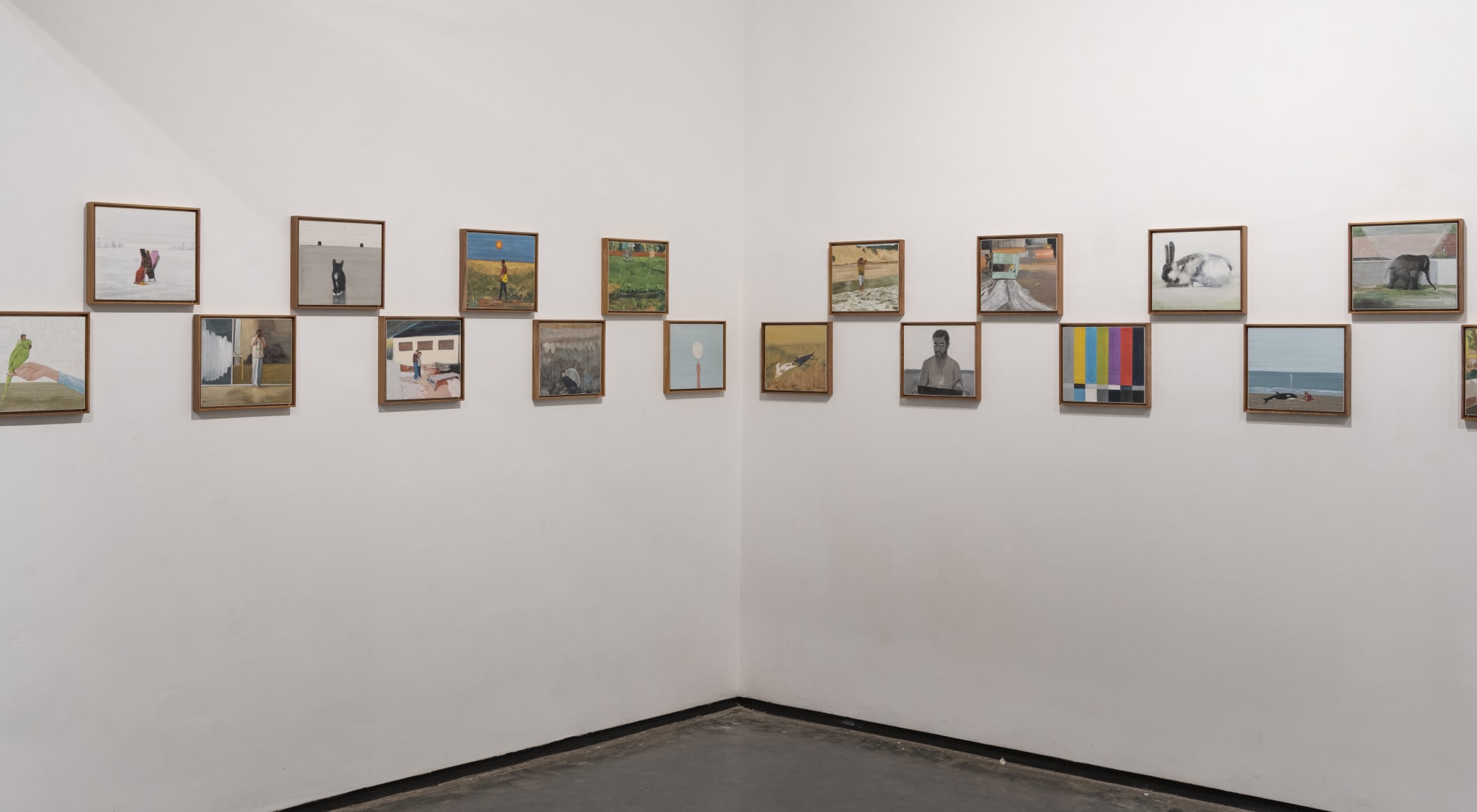 It's a Normal Day...