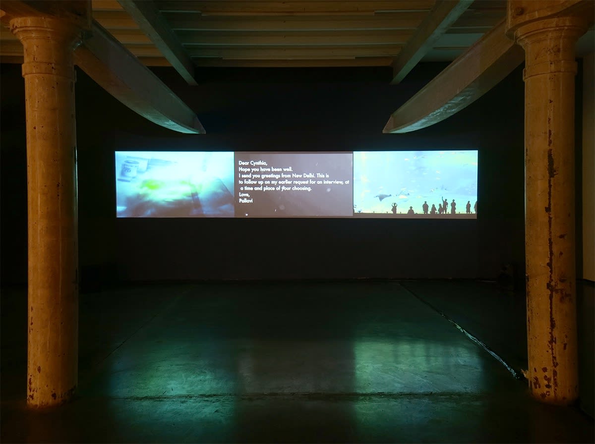 Not a Simple Disappearance, but a Slow Dissolution