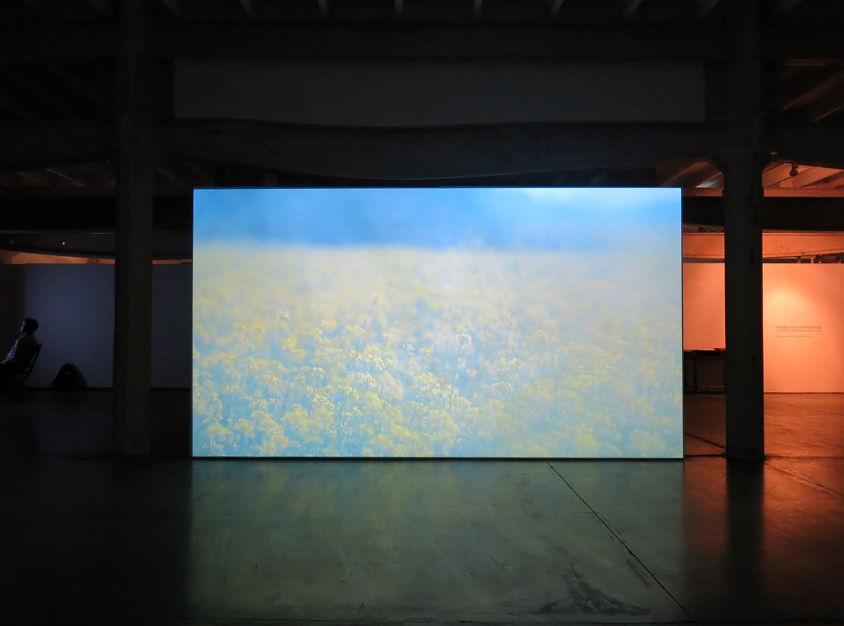 Artists' Film International