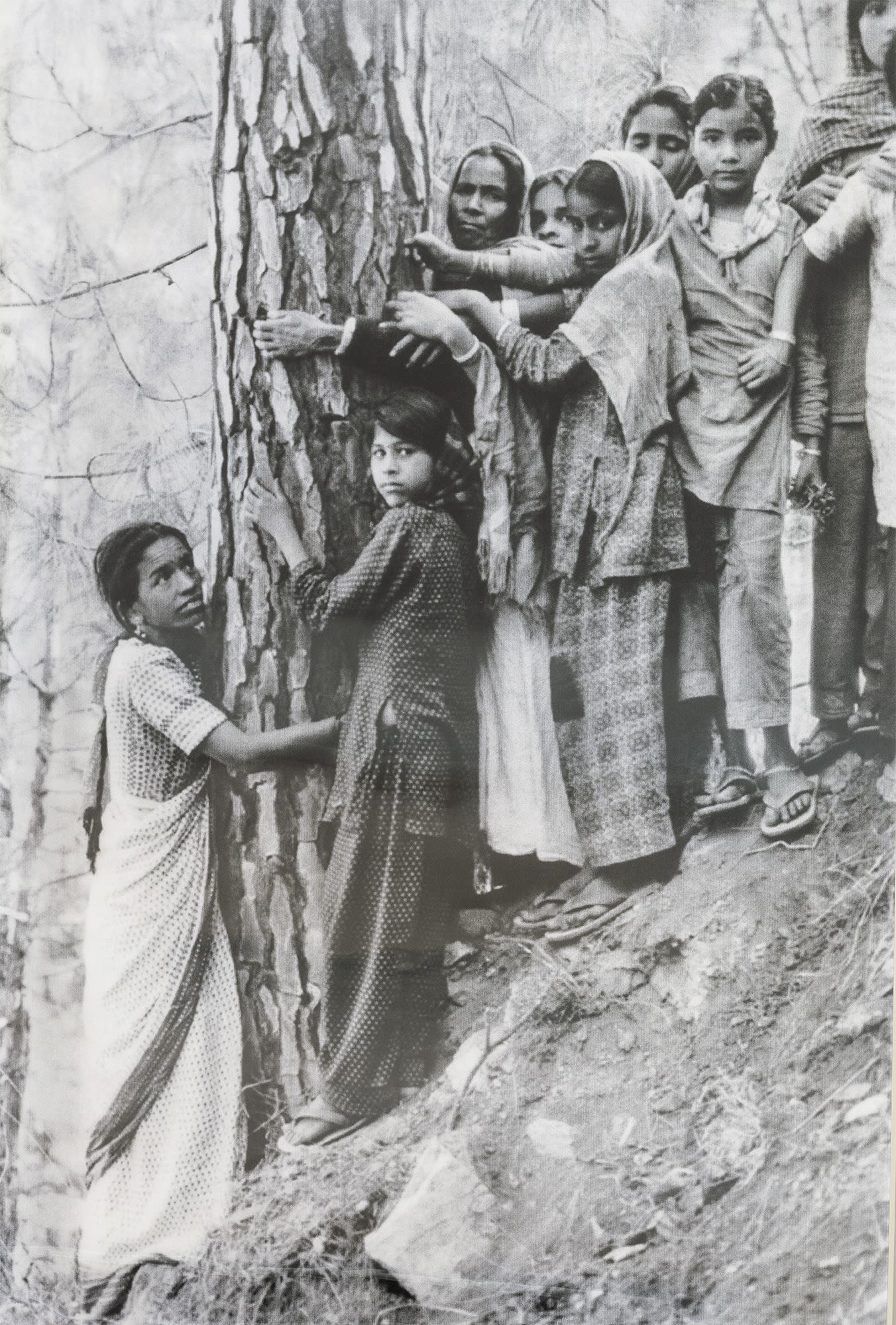 Tejal Shah, Chipko, Lenticular print, 70.8 x 47.2 inches, 2018