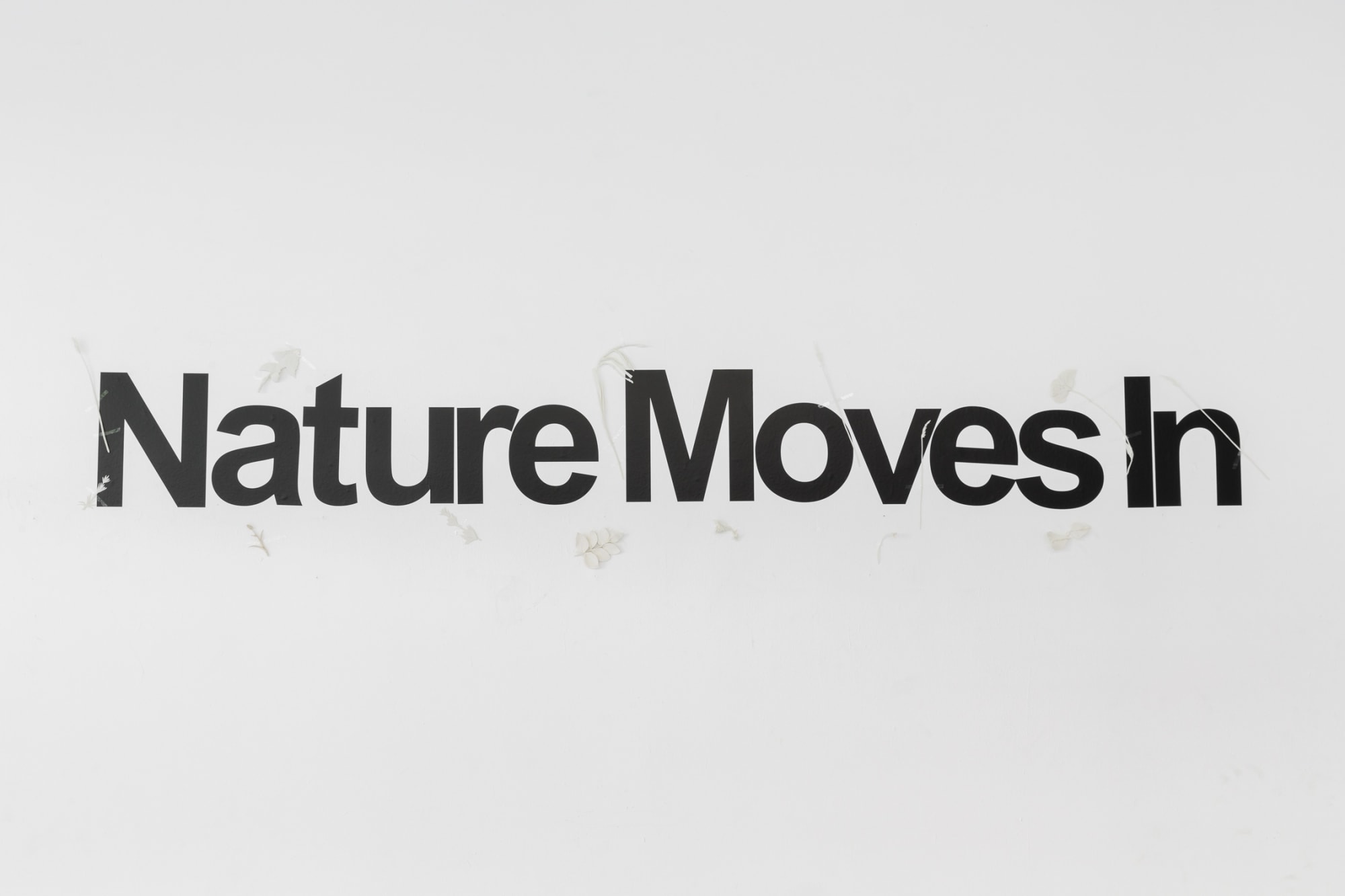 Nature Moves In