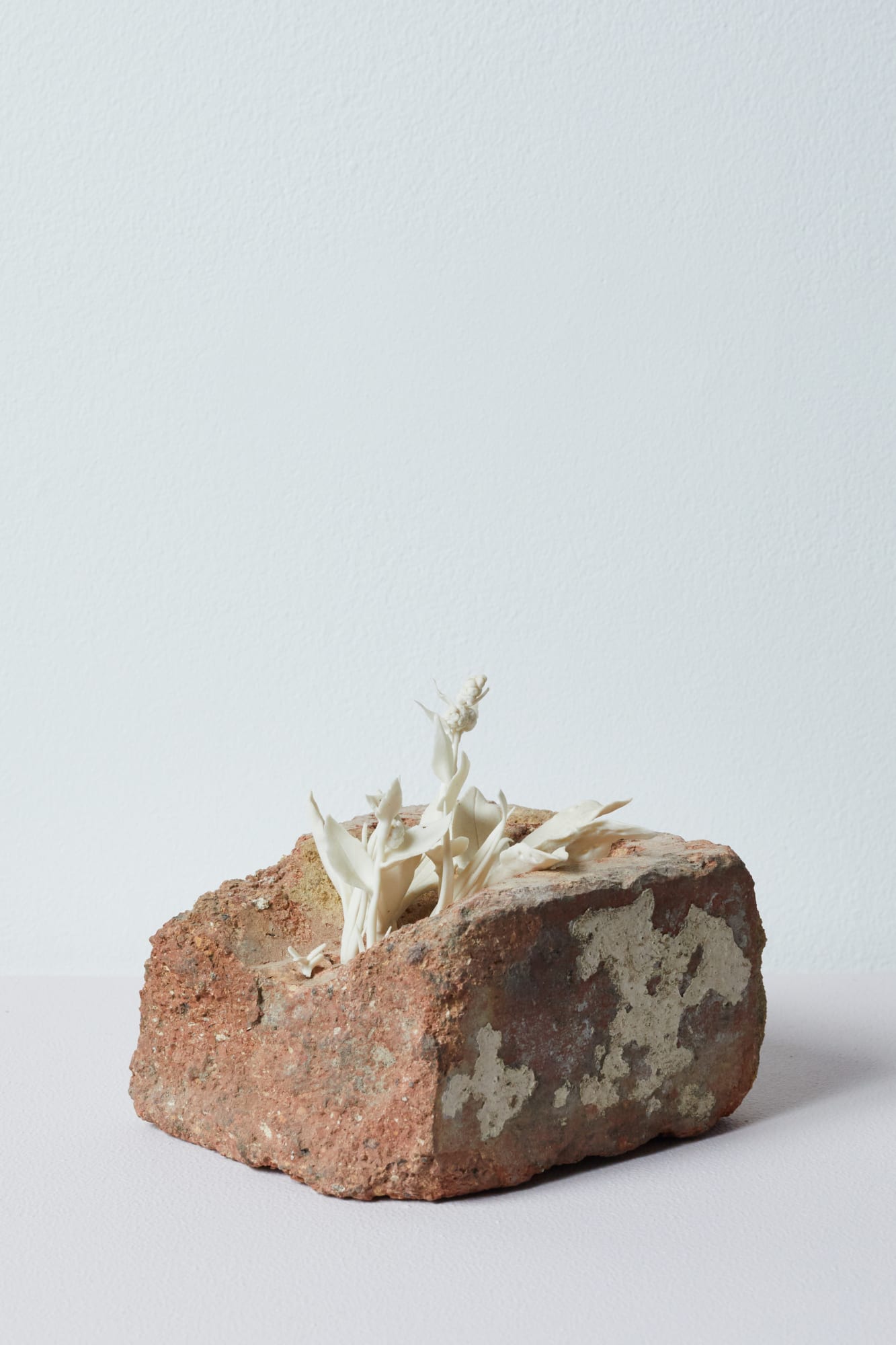 The Fragmented Landscape