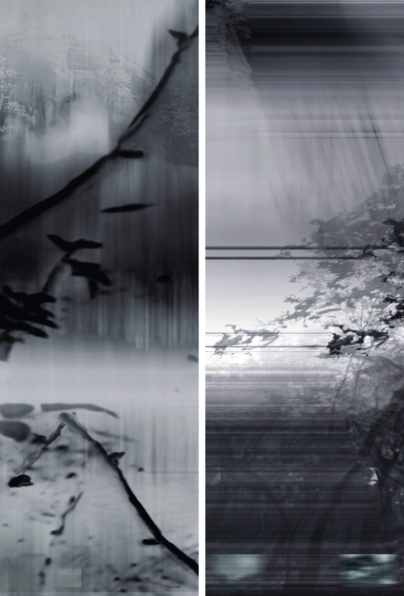 두경의 부정 2부 명료함에 反하다