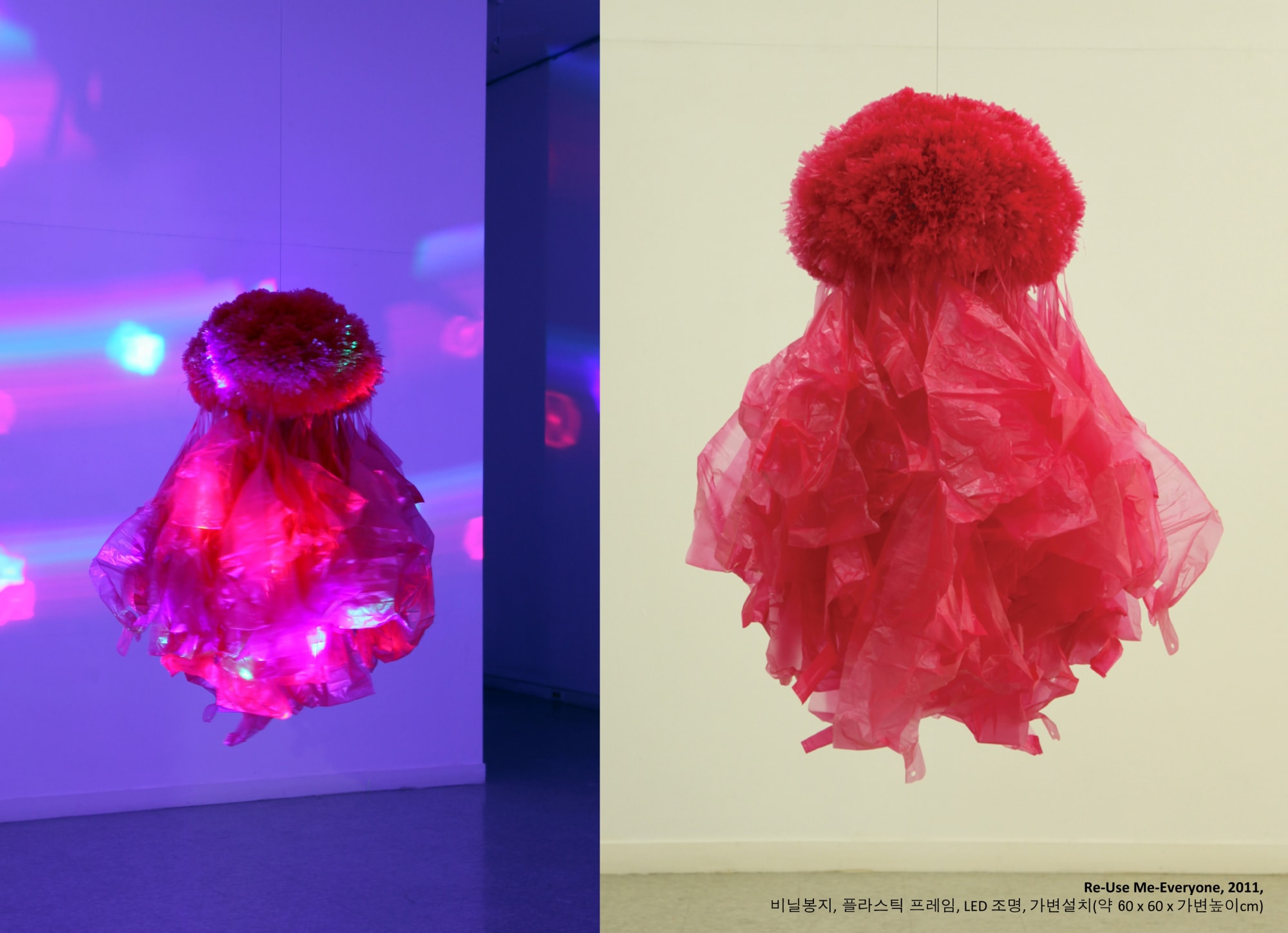 Collective Collection