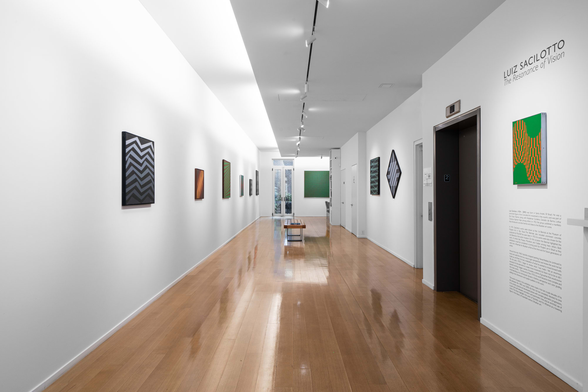 Luiz Sacilotto: the Resonance of Vision