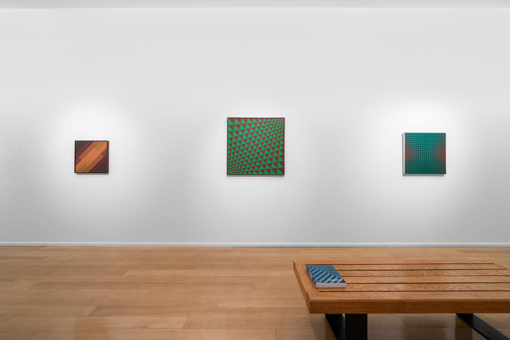 Luiz Sacilotto: the Resonance of Vision