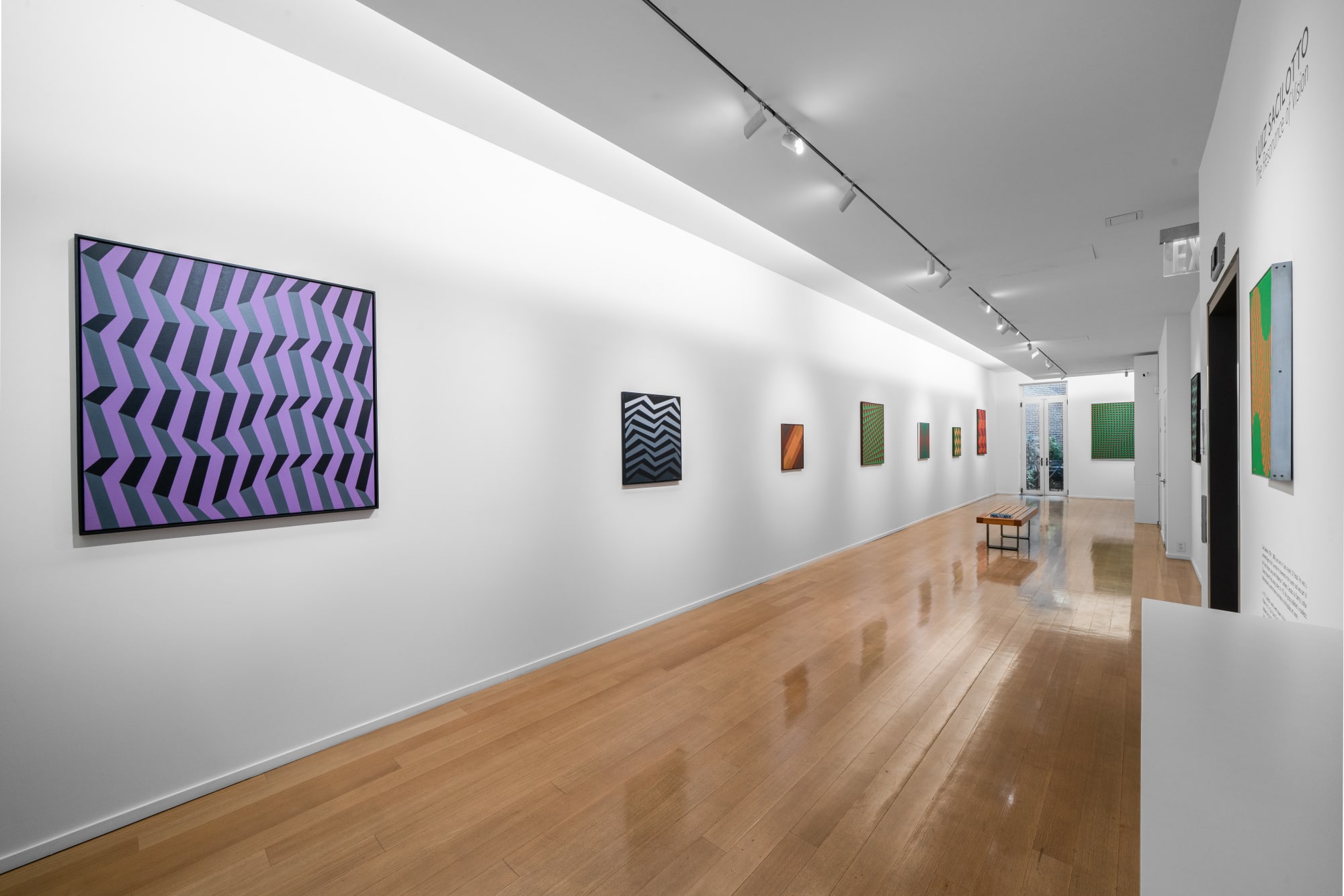 Luiz Sacilotto: the Resonance of Vision