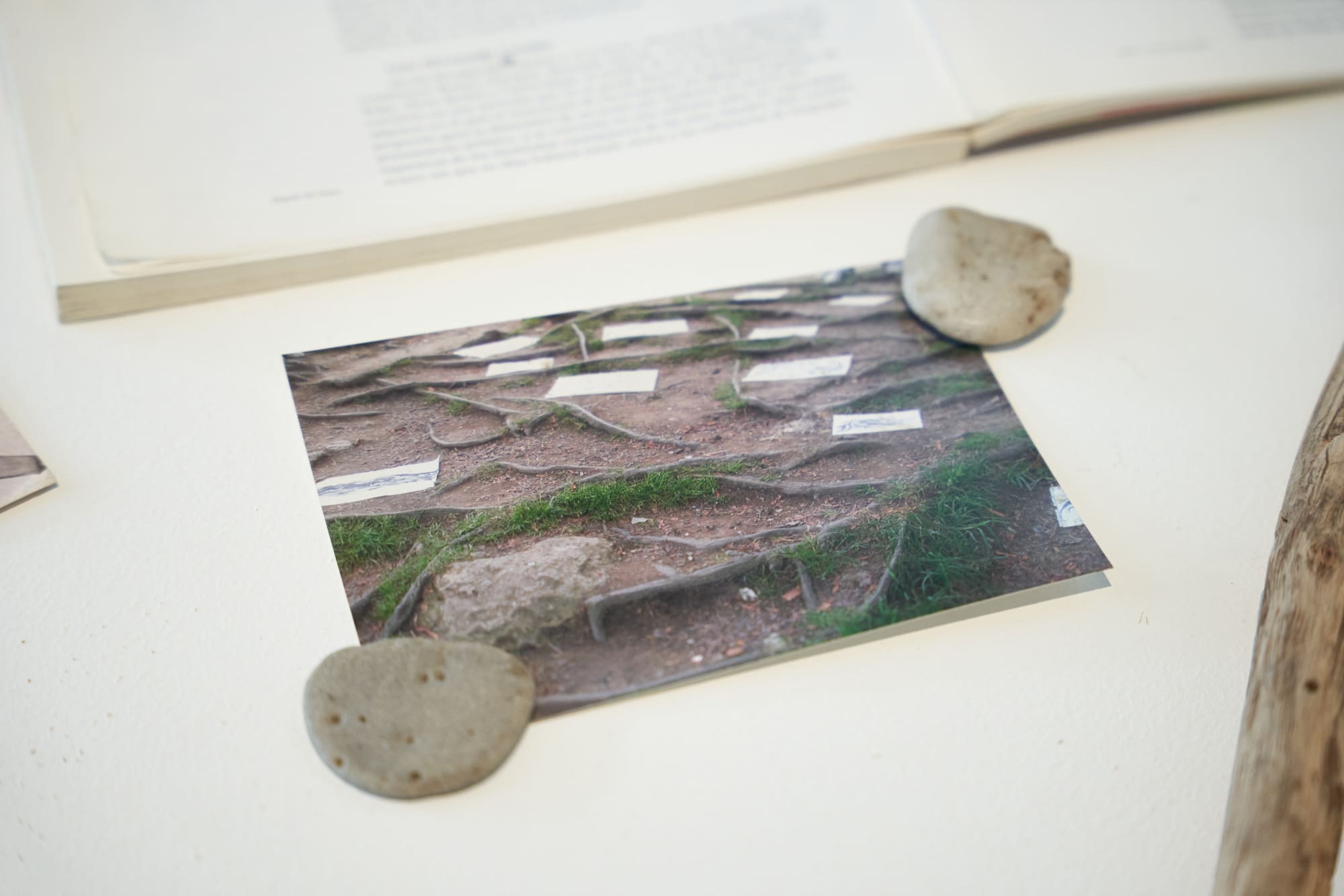 Leitmotiv : Reiteration in the Work of Luis Hernando Giraldo