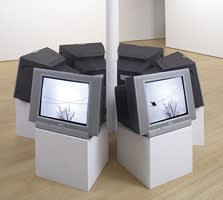 Installation image of A Fugitive, Some Maps, Cute Animals and a Shark at Catharine Clark Gallery, San Francisco, 2008.