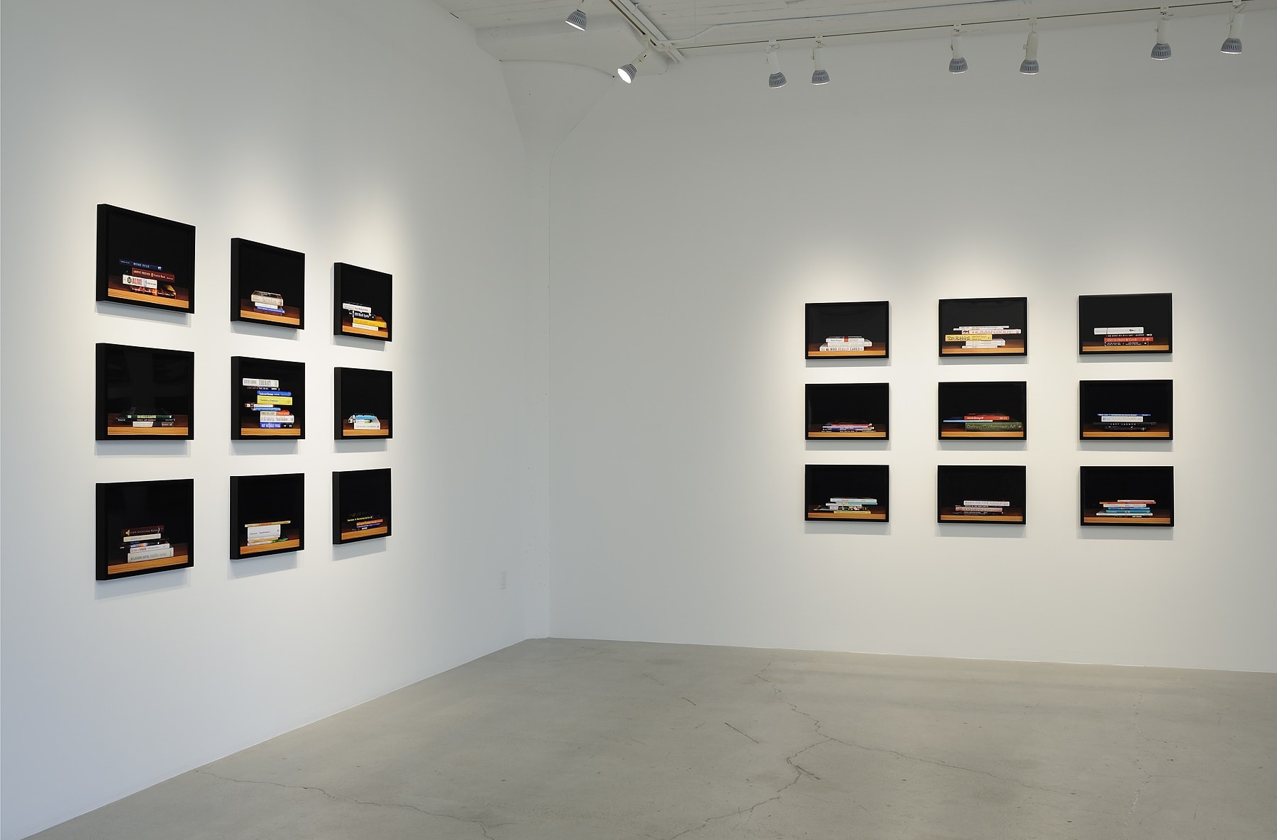 Nina Katchaudorian: Two Libraries: Recently Sorted Books