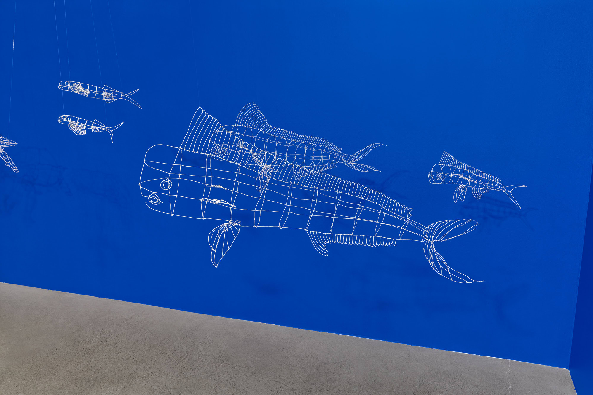 Nina Katchadourian: To Feel Something That Was Not of Our World