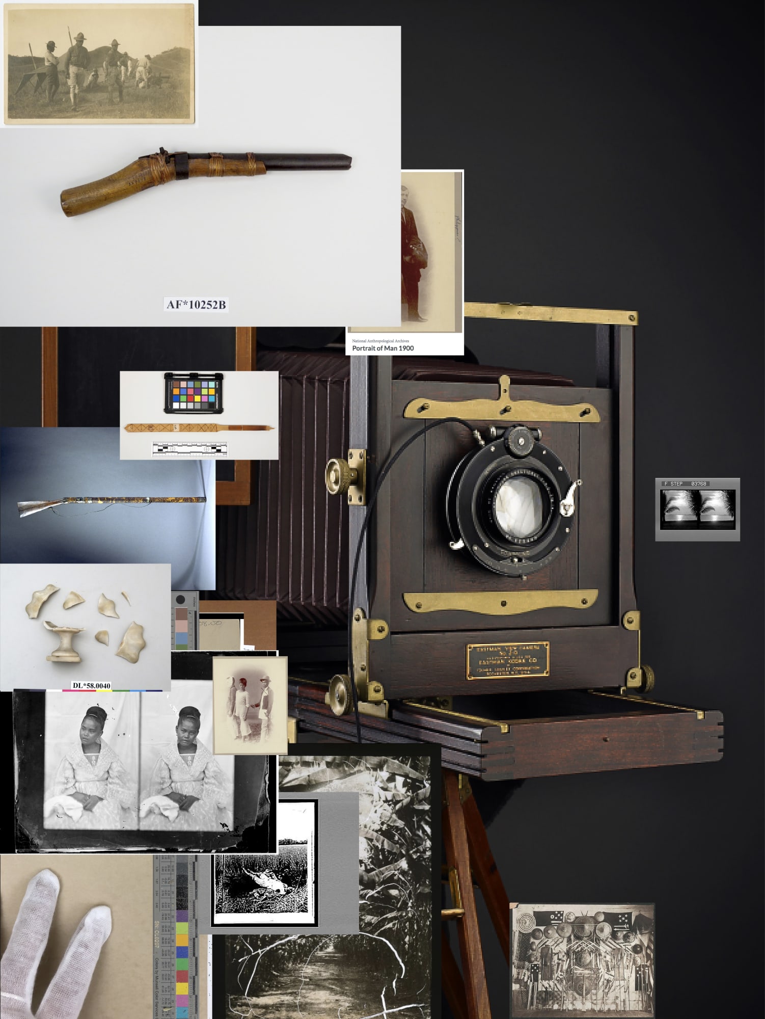 Stephanie Syjuco, Pileup (Eastman), 2021