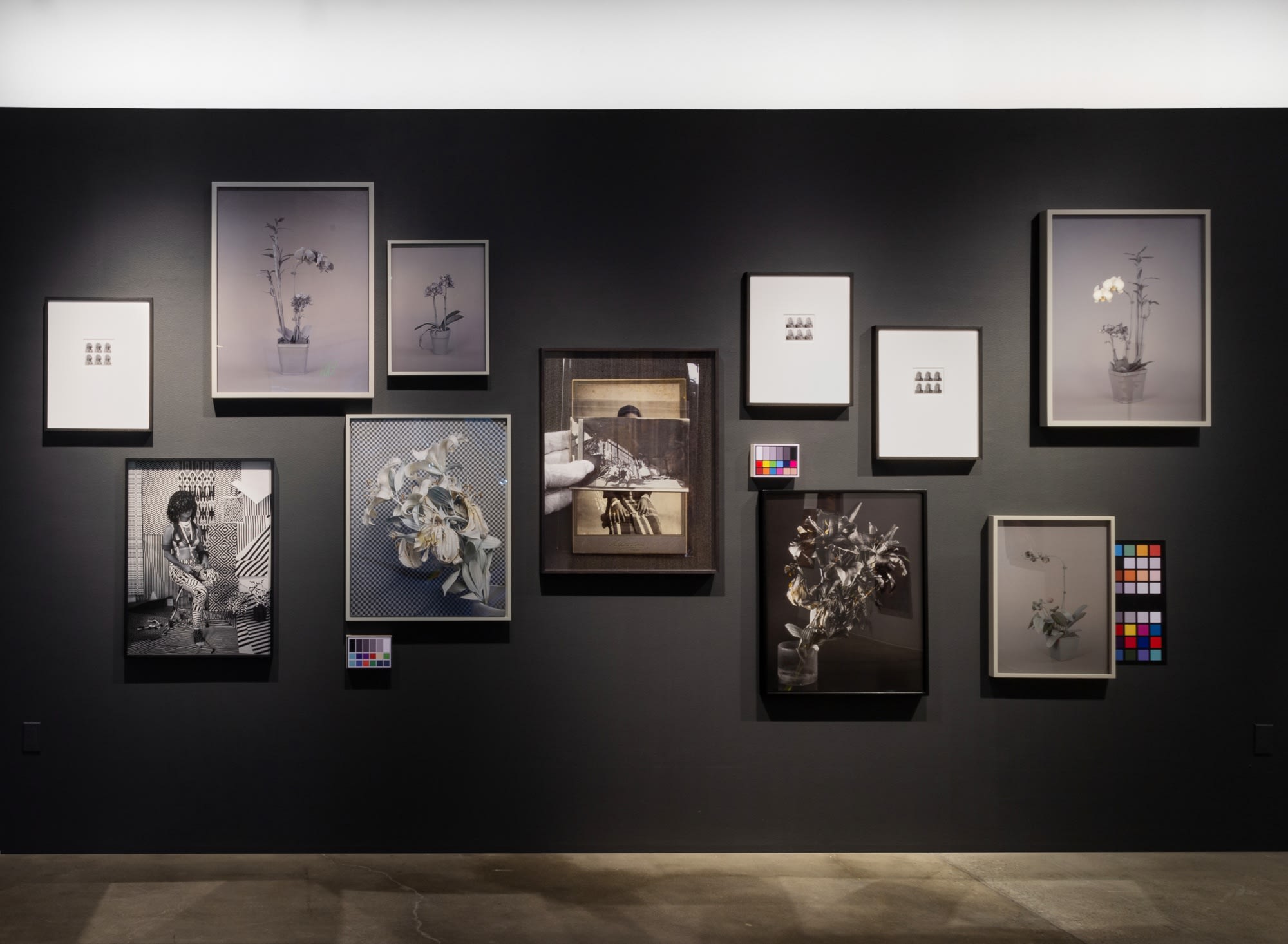 Stephanie Syjuco: Dodge+Burn