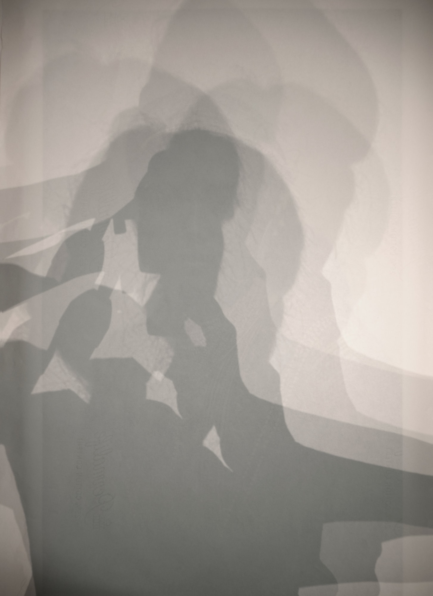 Stephanie Syjuco, Double Portrait (Available Light), 2021