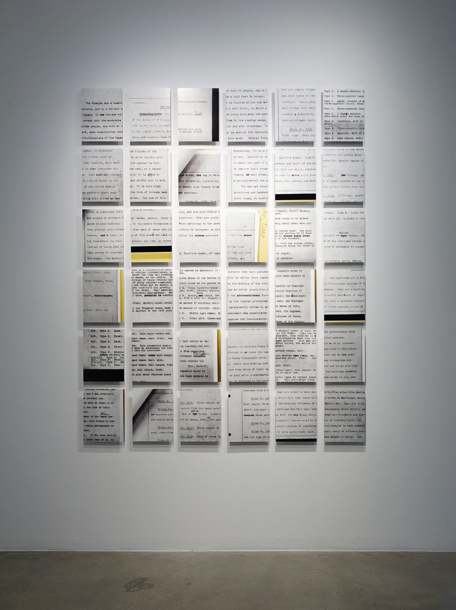 Stephanie Syjuco, Fixed Focus (Dead Center), 2021