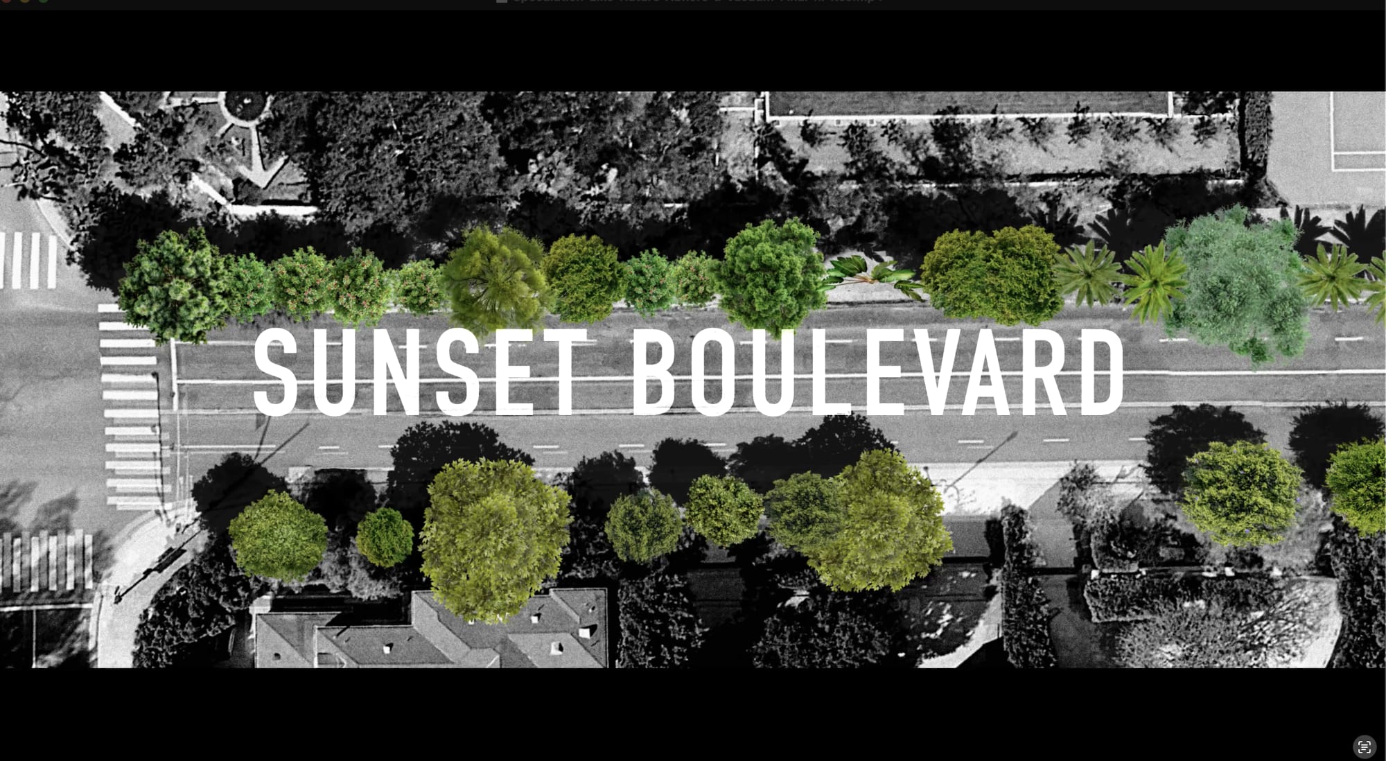 Ken Goldberg and Tiffany Shlain: Speculation, Like Nature, Abhors a Vacuum (LA Version)