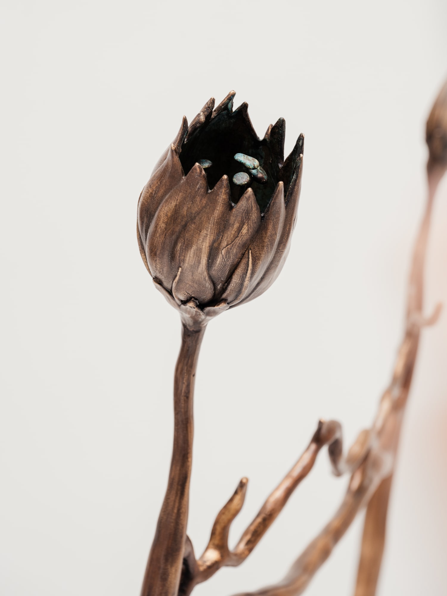 Les Bienfaits de la Lune