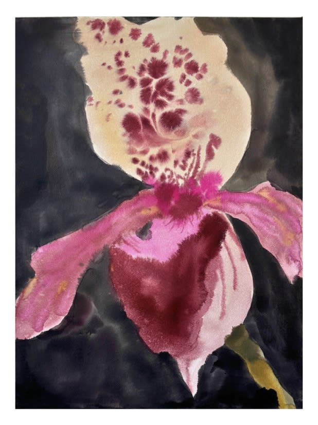 Ruschka du Toit, THE ROAD LESS TRAVELED , 2024