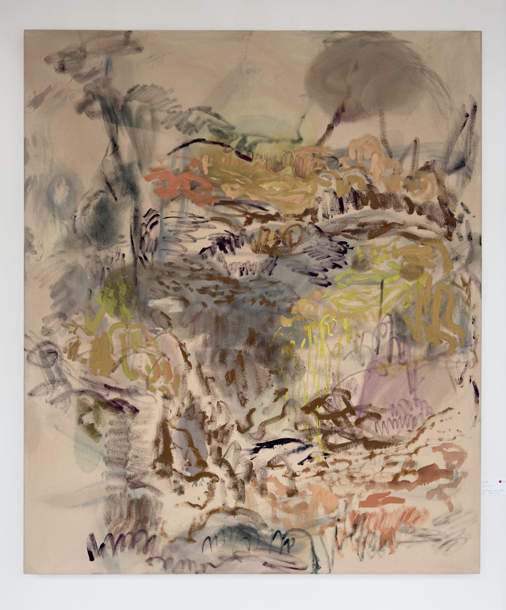 Rogé Girard , FLORE LAURENTIENNE, 2024