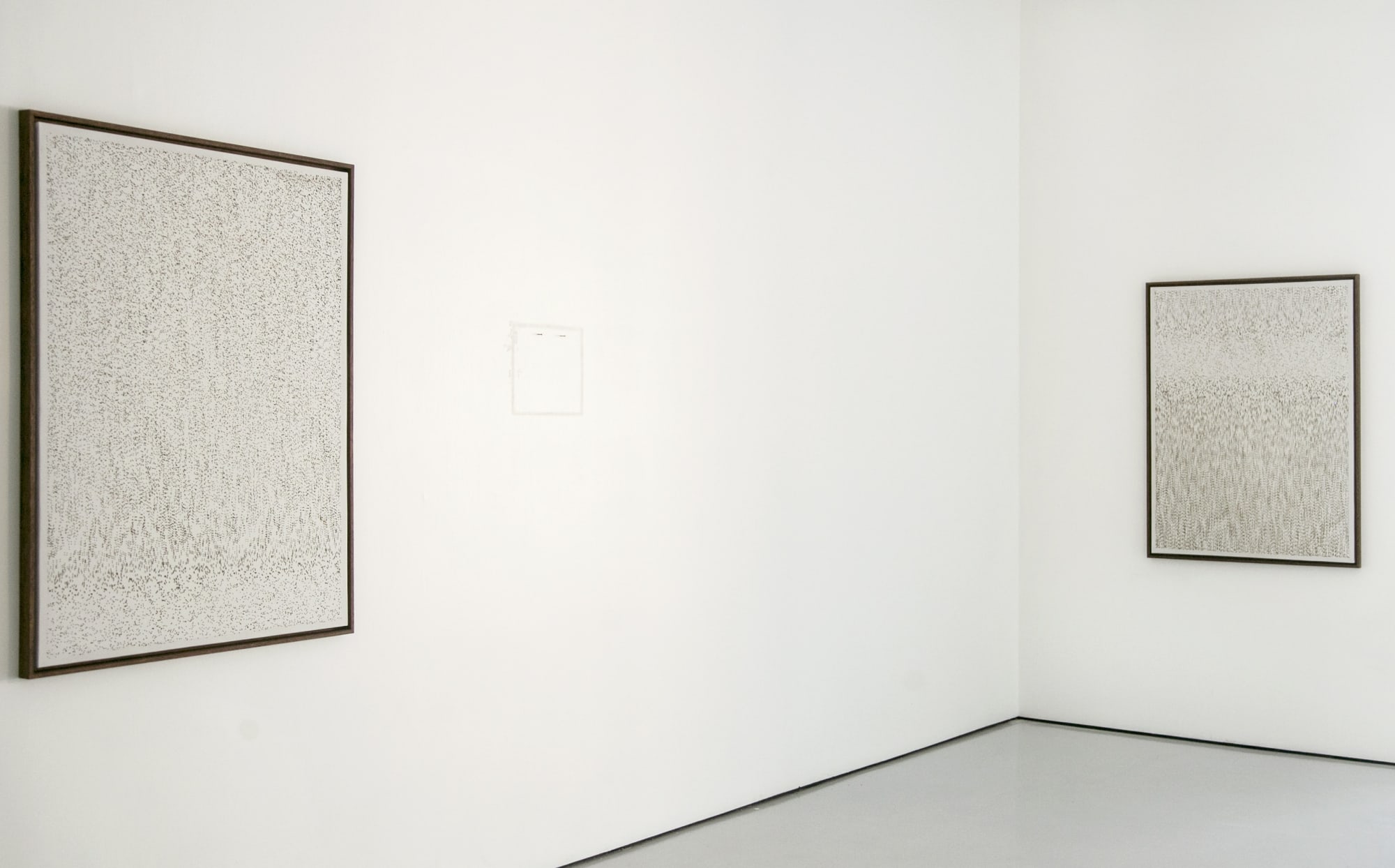 Under one lamp by day, billions by night