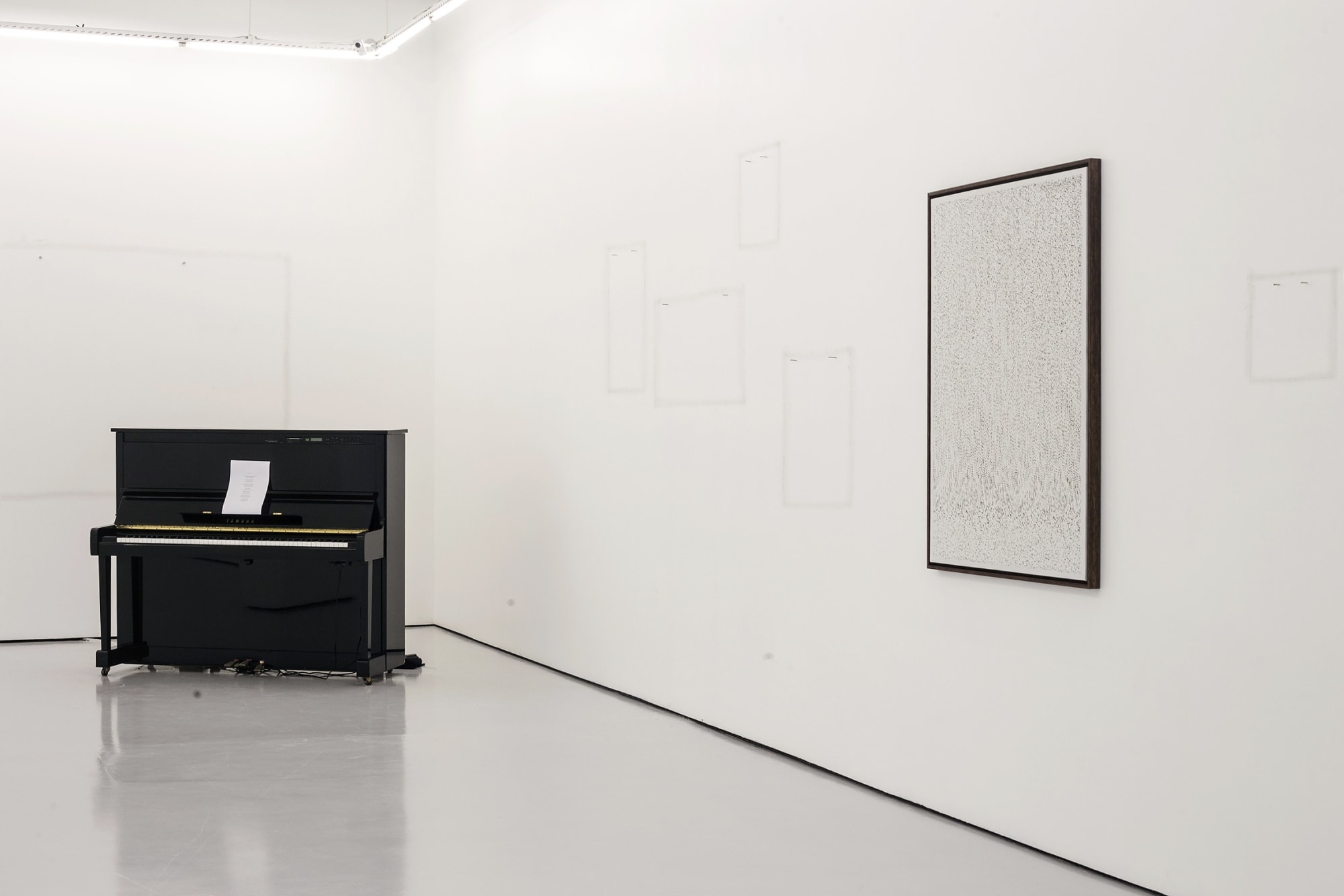 Under one lamp by day, billions by night