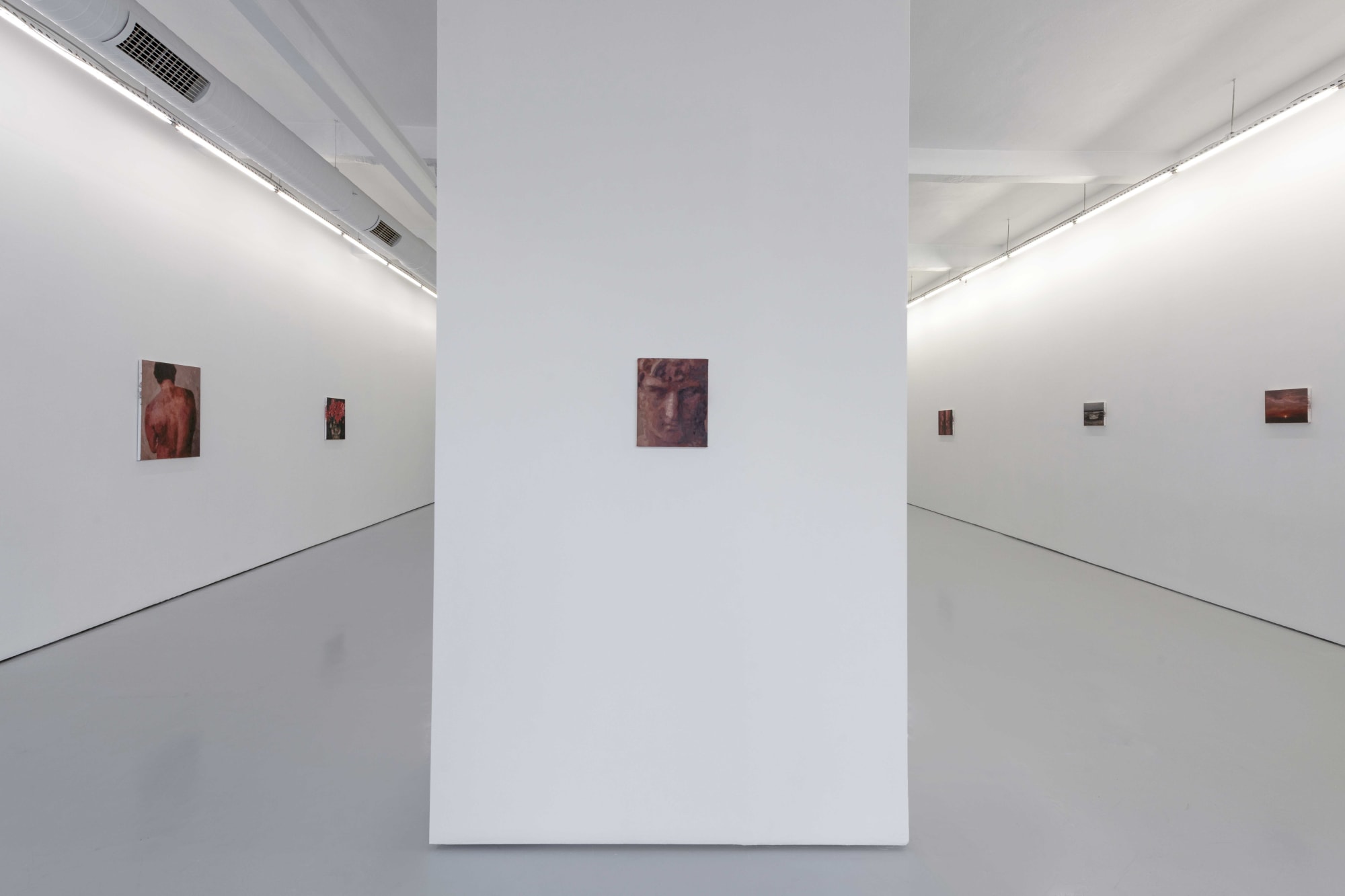 Longing, sweat, roses