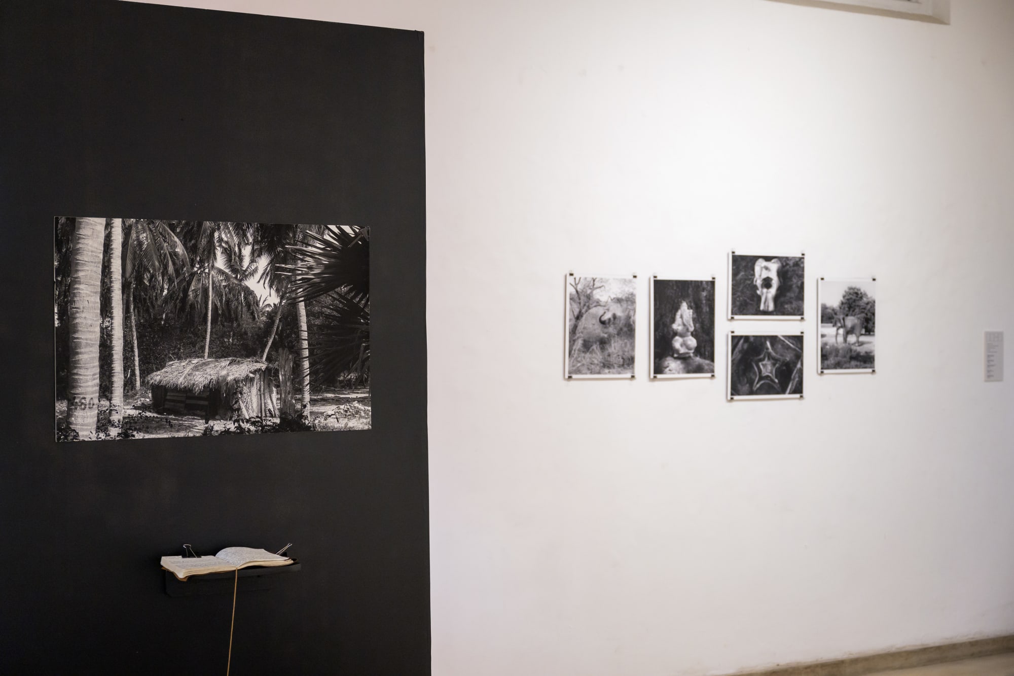 Srcubland: East Coast Essays