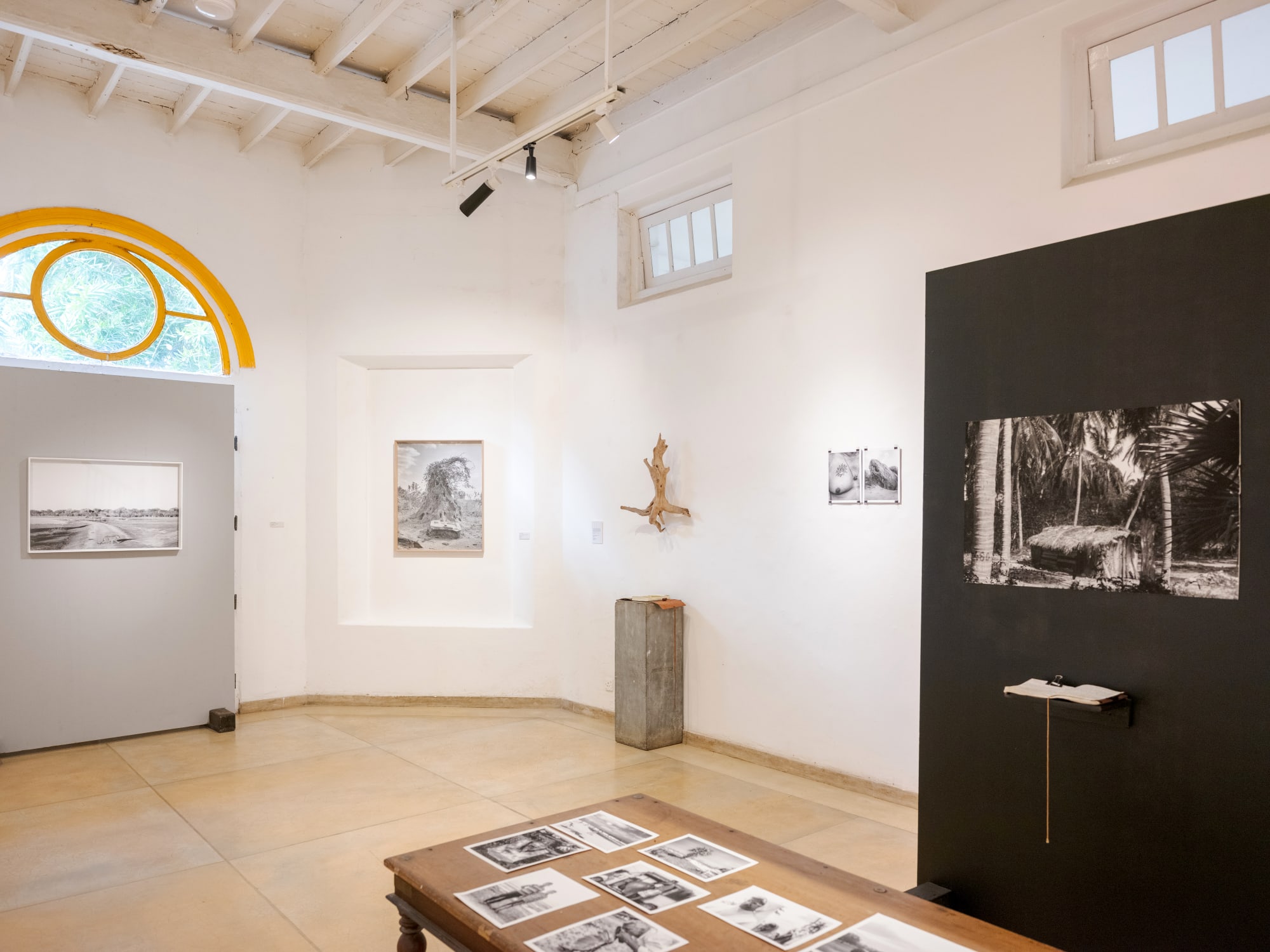 Scrubland: East Coast Essays