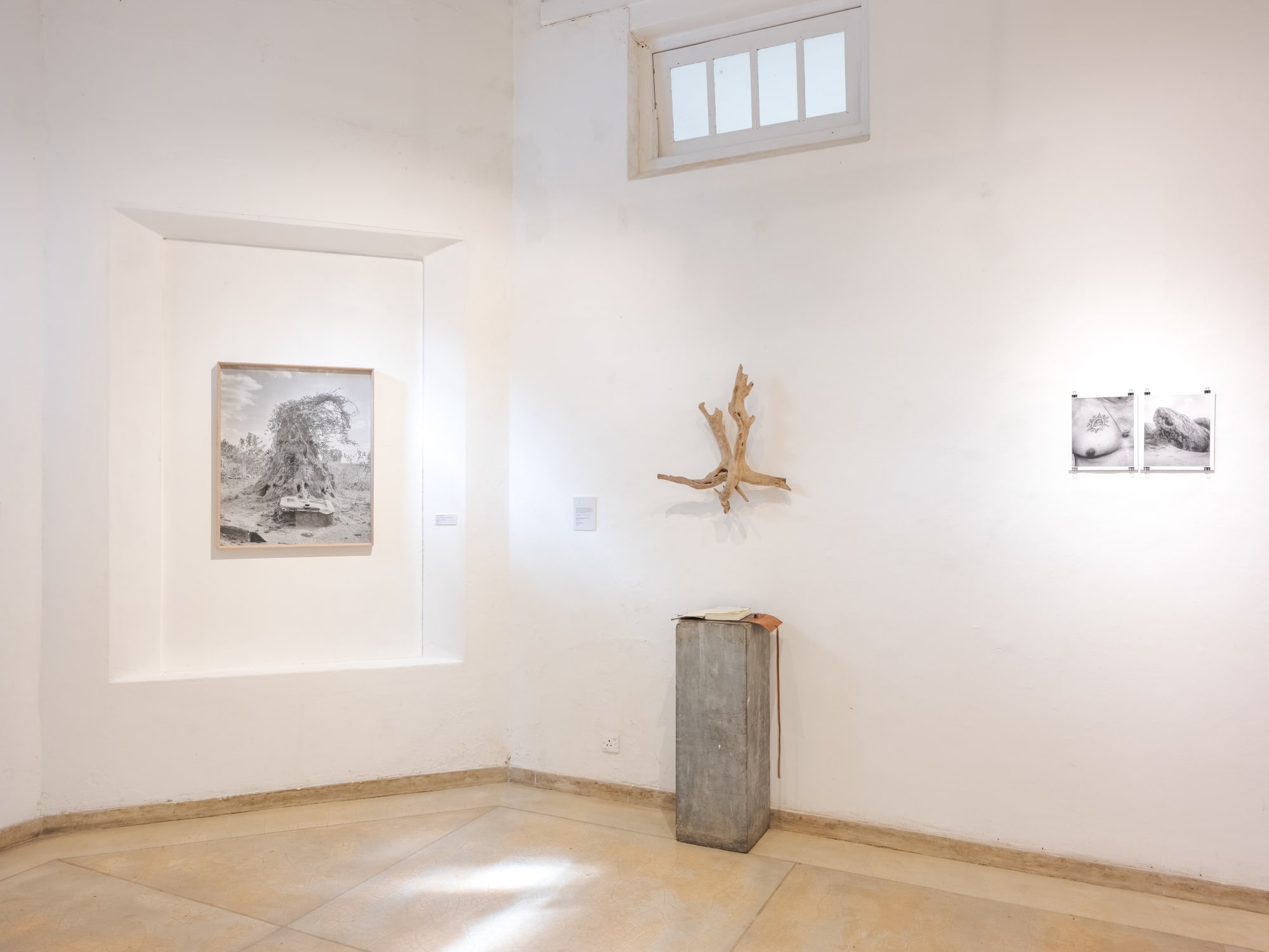 Scrubland: East Coast Essays