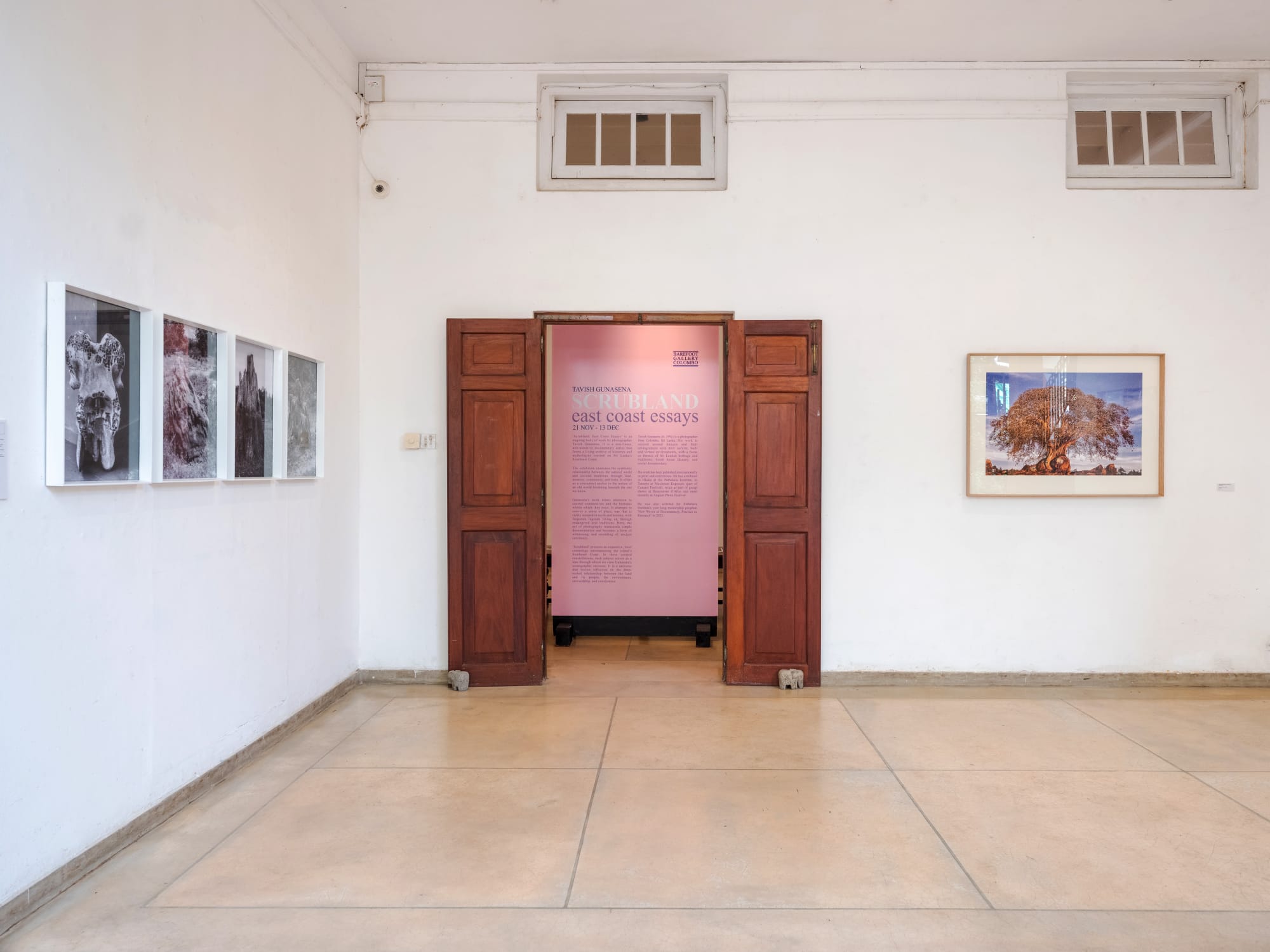 Scrubland: East Coast Essays